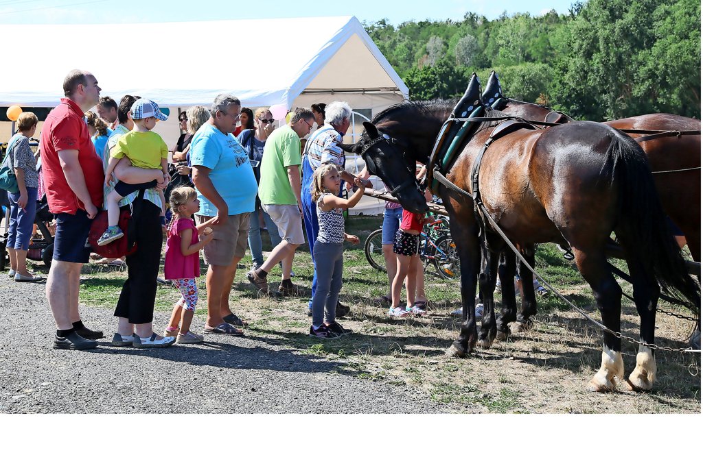 voltigiermannschaft Wintersdorfer Pferdefreunde stellen sich beim Hoffest vor