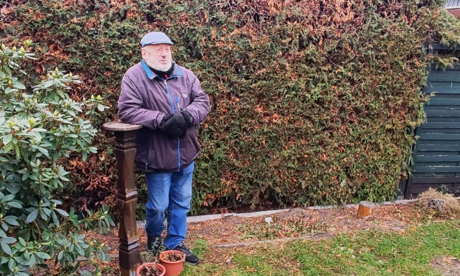 Thuja-Verbot: Fristen fr die Entsorgung in Brandenburg