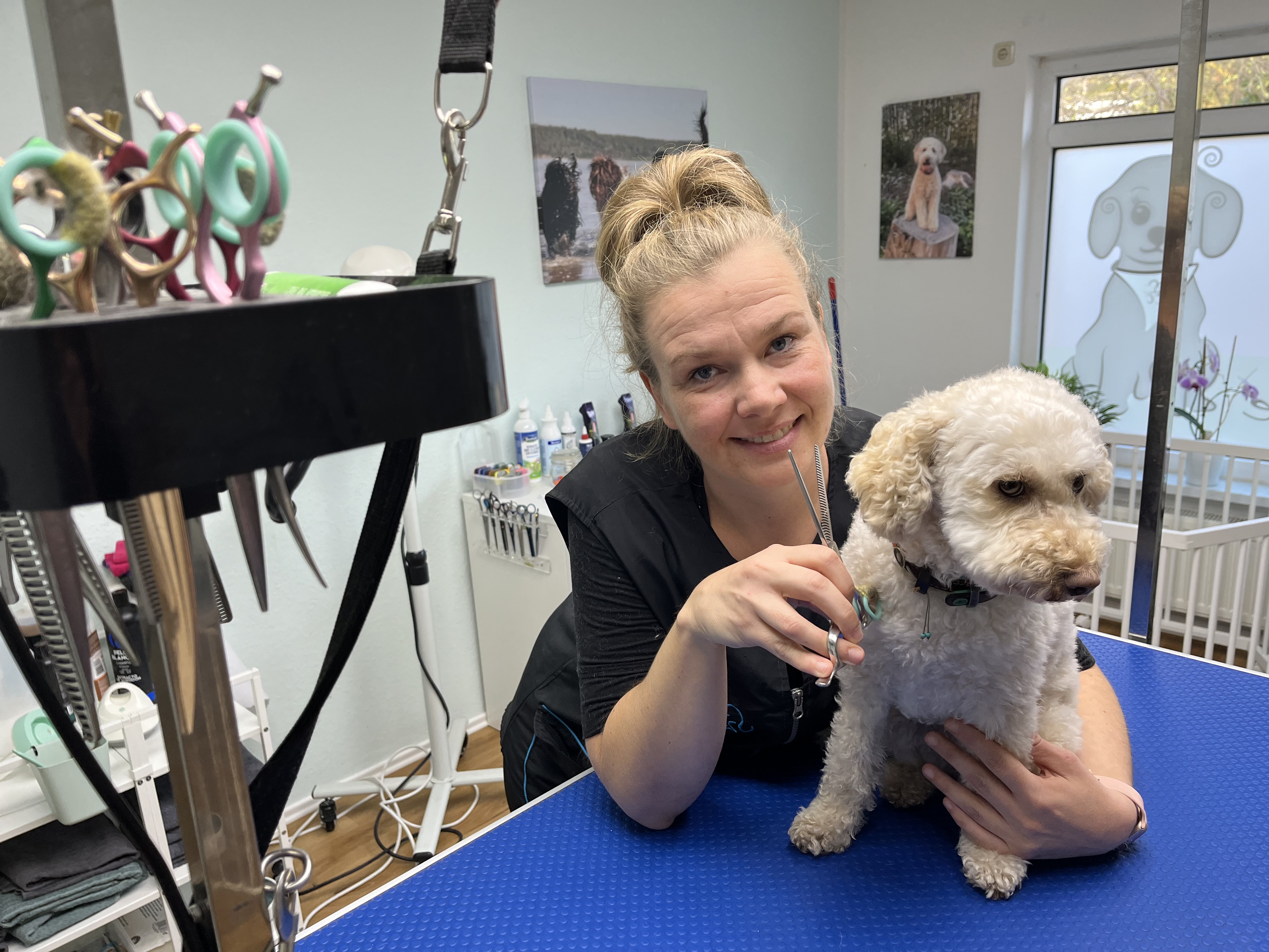 hundesalon-fischland