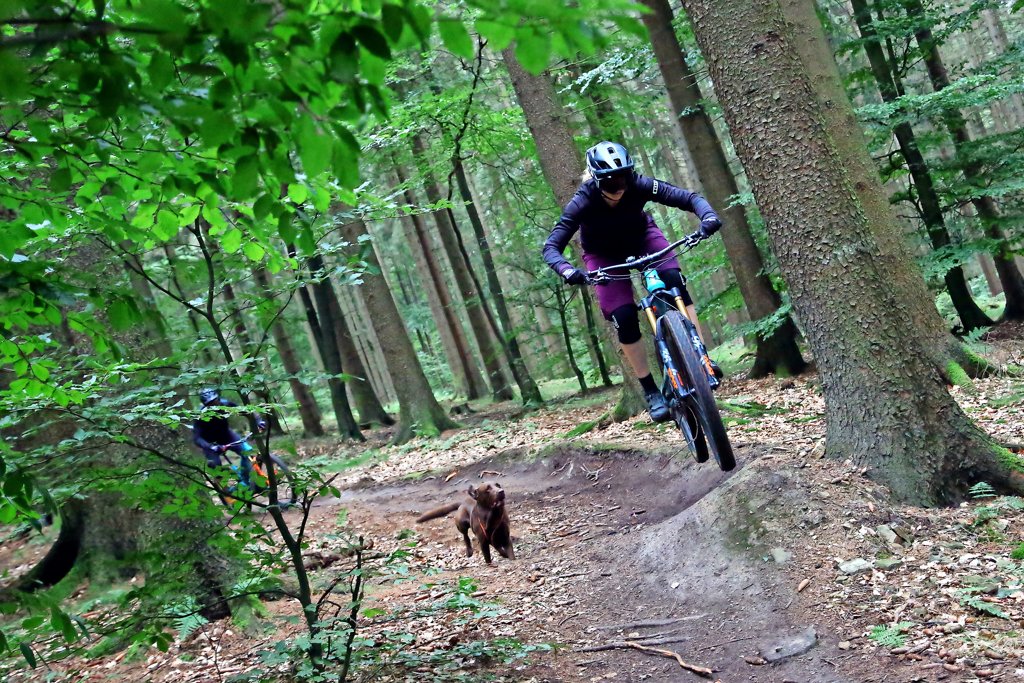 24 er mountainbike Early Rider Seeker 24