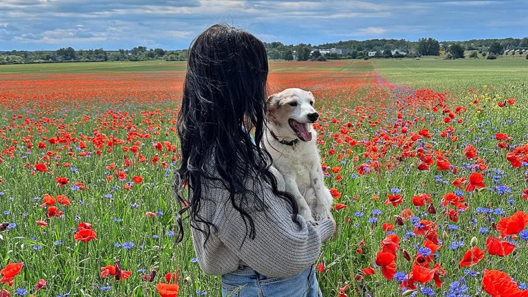 Sabzi erkak jinsiy olatni ostiradimi? Porno TV onlayn pornozud.com