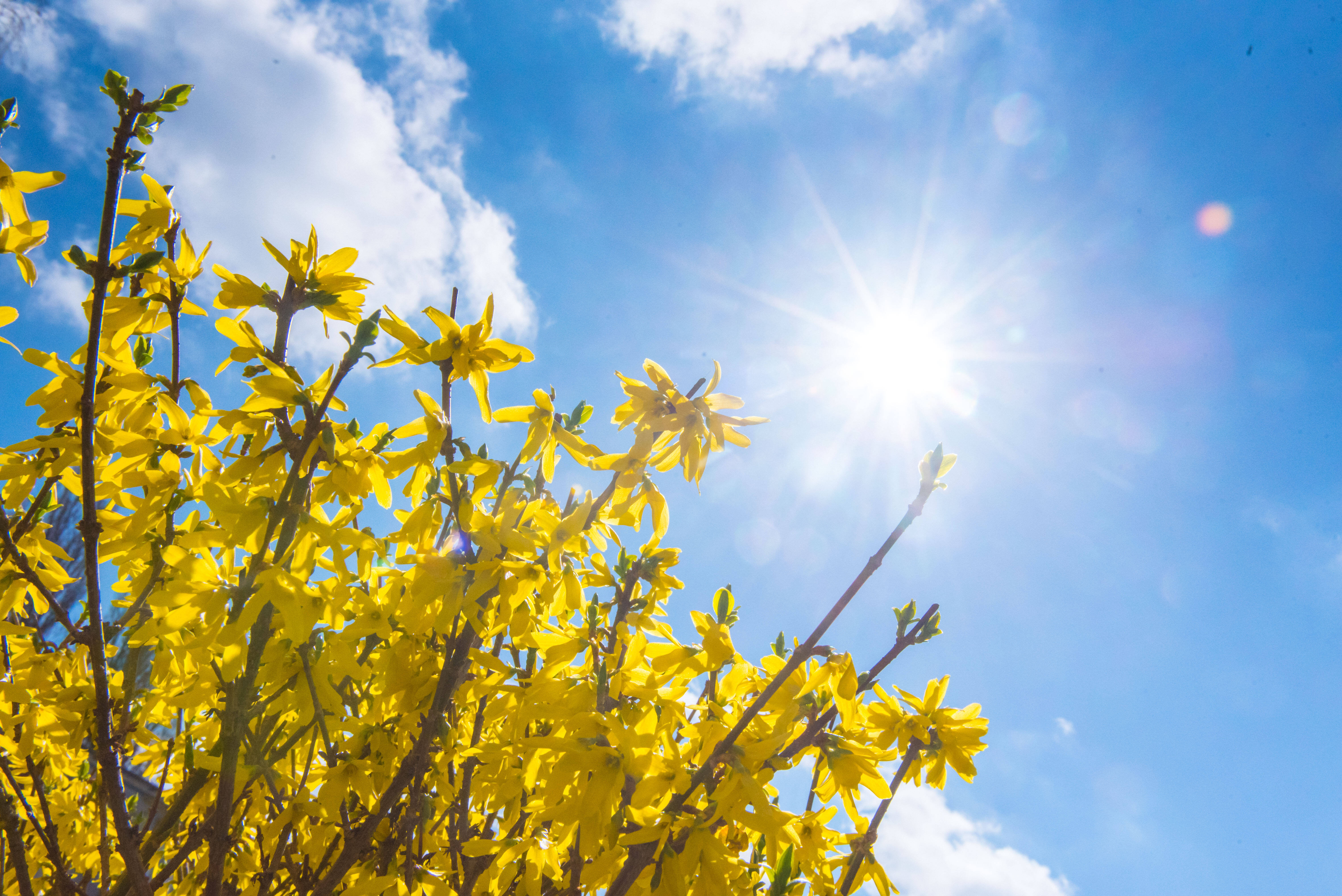 Frühlingswetter am Freitag: Hoch bringt Sonne und Wärme – für wenige Stunden