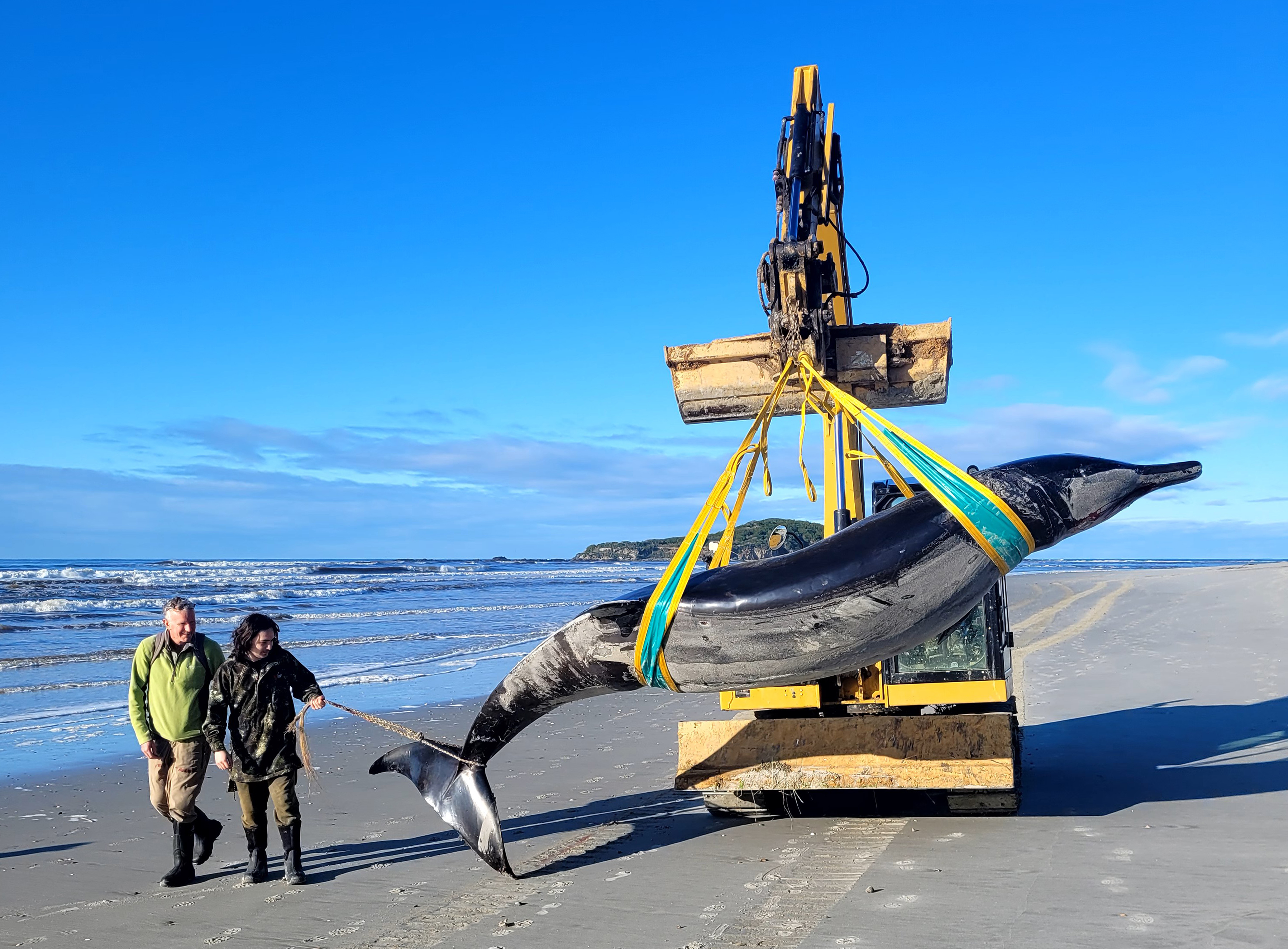 Handbemalte Möwen Figur Aus Holz Für Küstendekoration Maritime