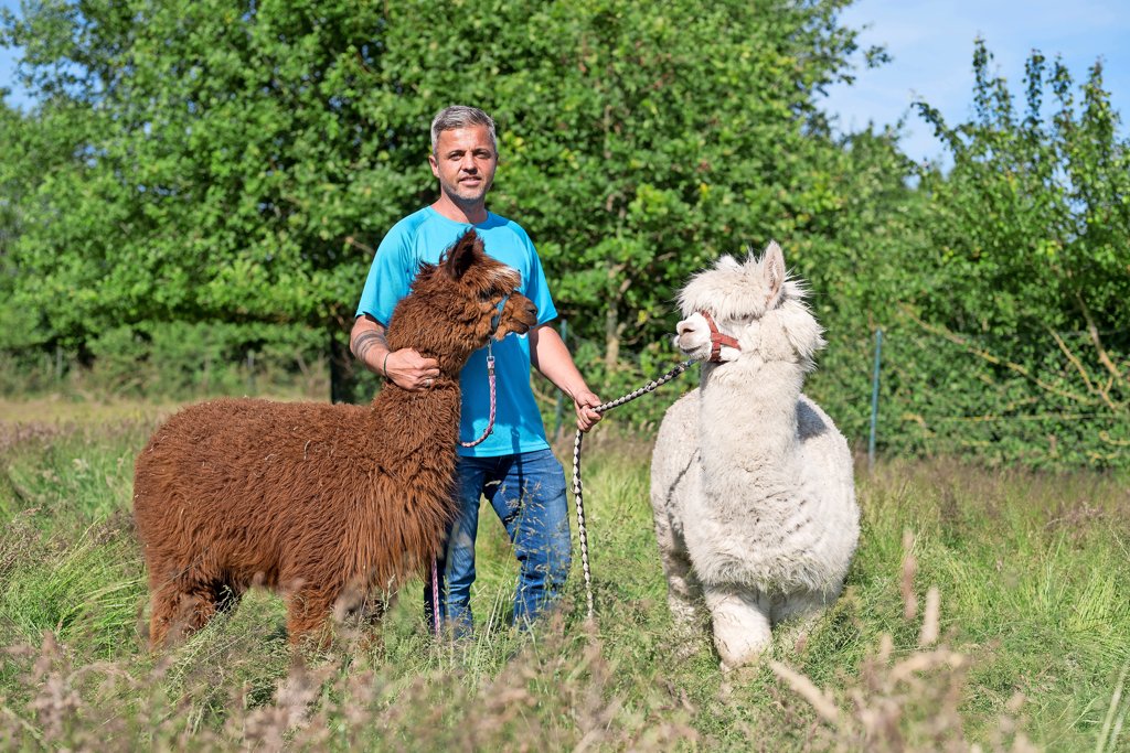 Alpaka Wanderung in Mecklenburg Vorpommern Besuch in Diedrichshagen