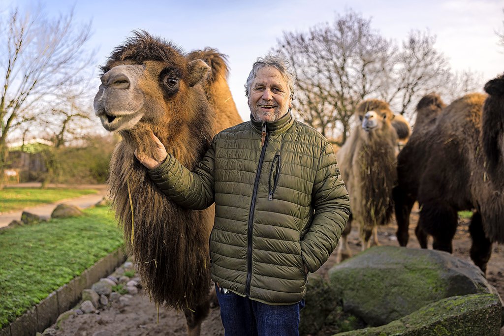 Zoo Arche Noah Gr mitz Darum lohnt sich ein Besuch der Tiere im