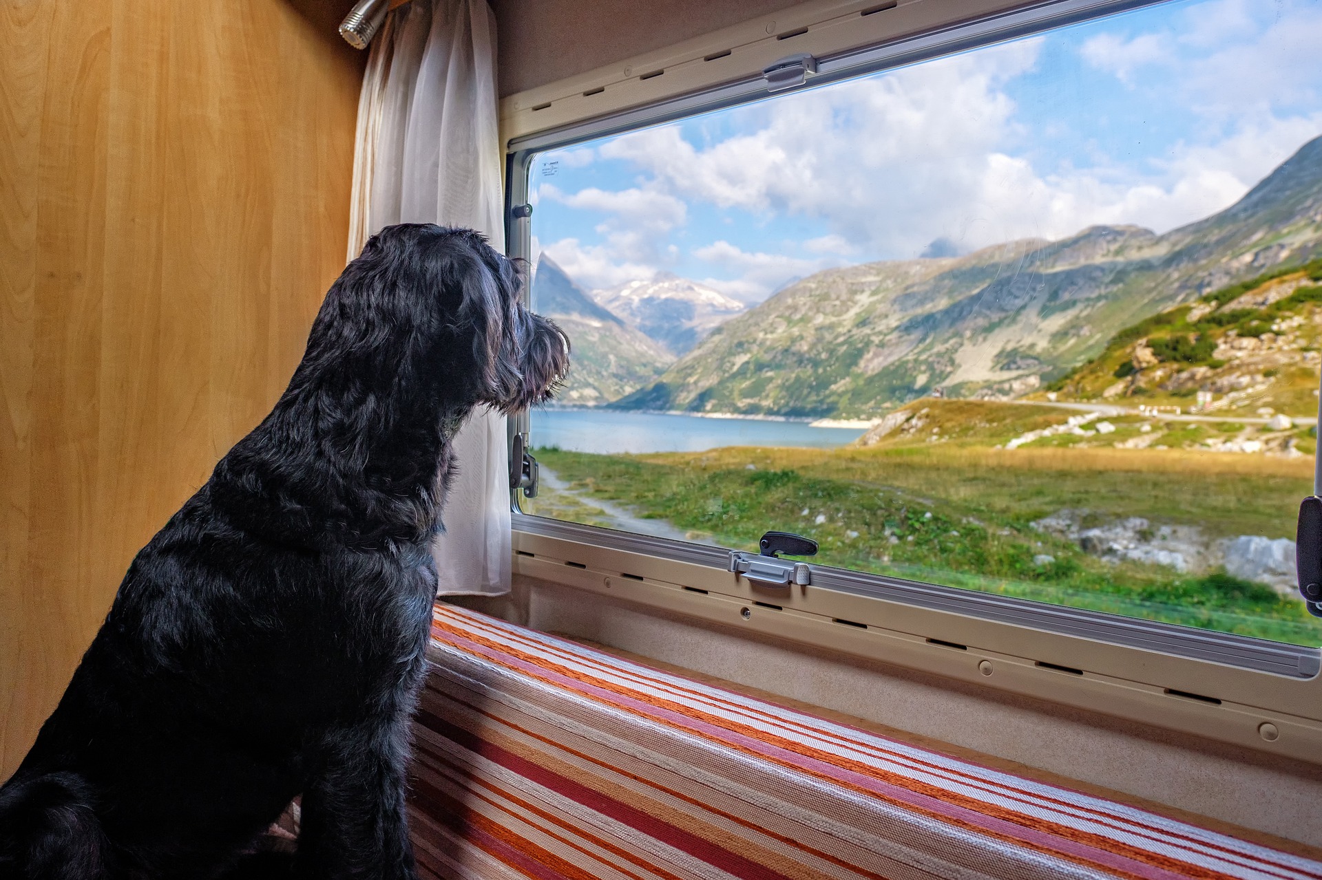 Hundecamper mieten: So geht Urlaub mit Wohnmobil und Hund