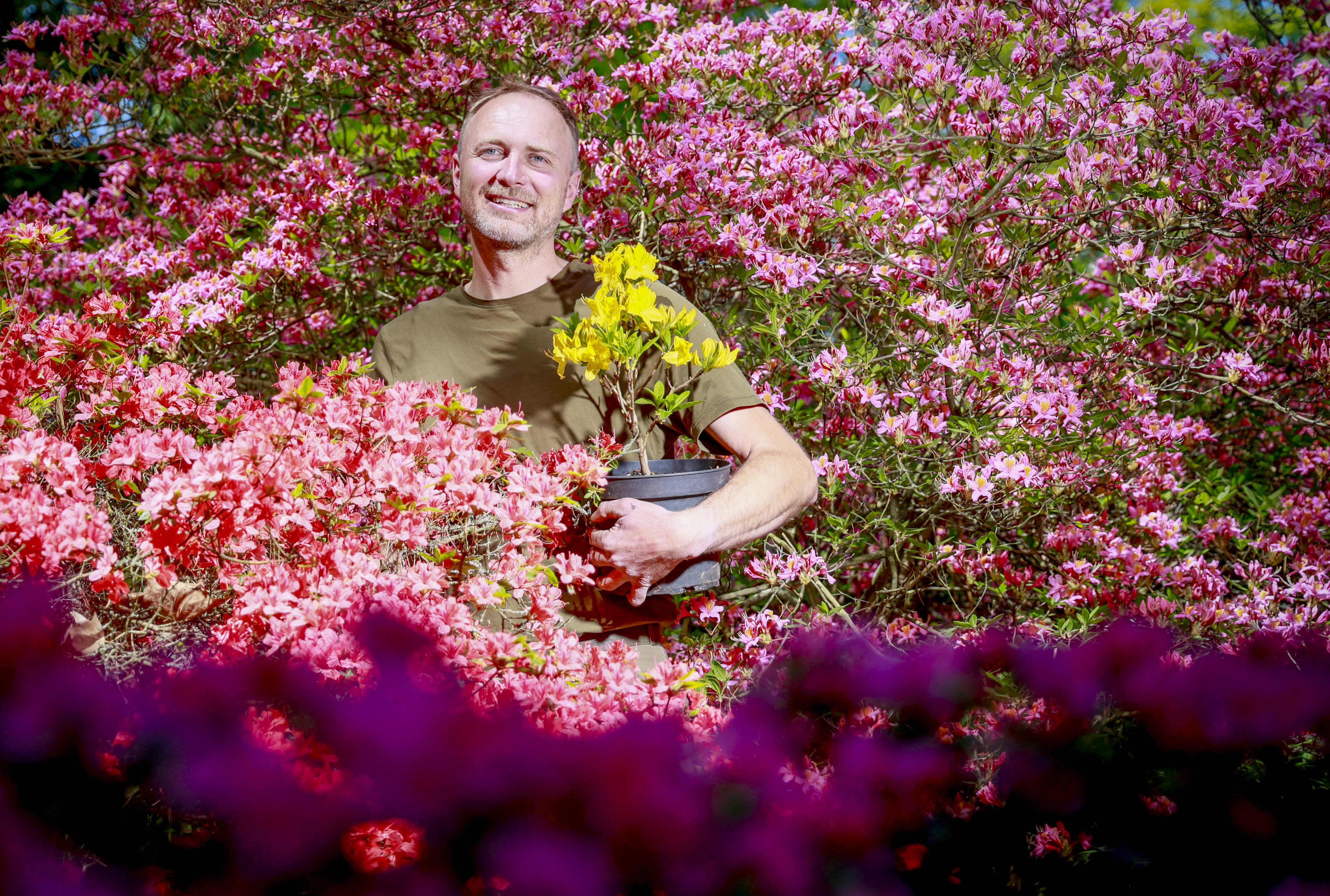 Herr ber Tausende Rhododendren