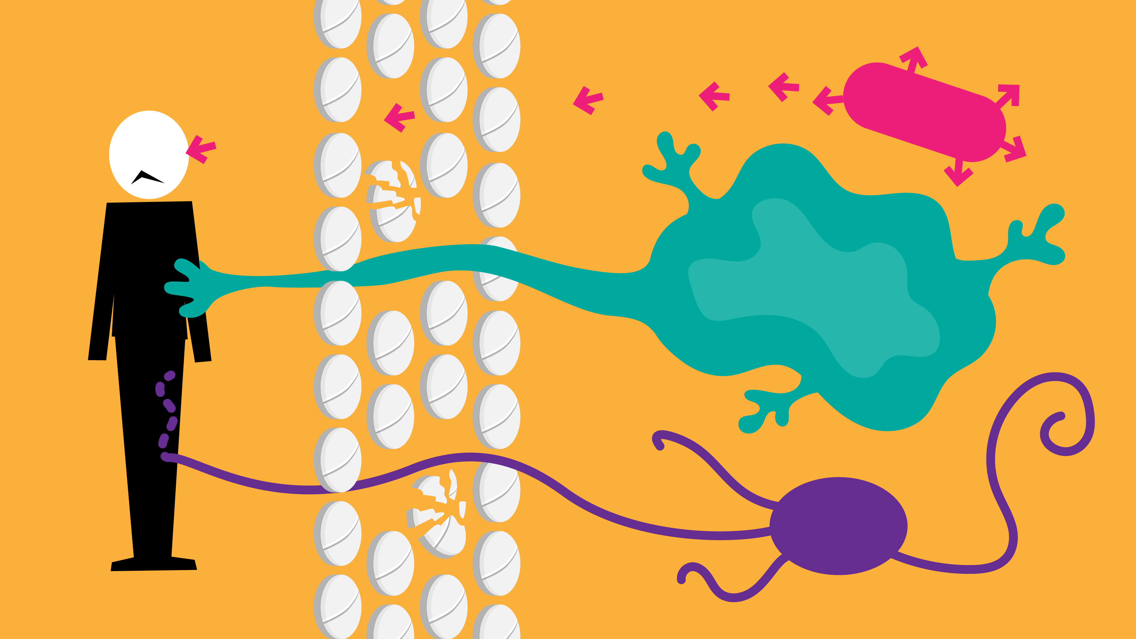 amoxicillin tabletten kühlschrank