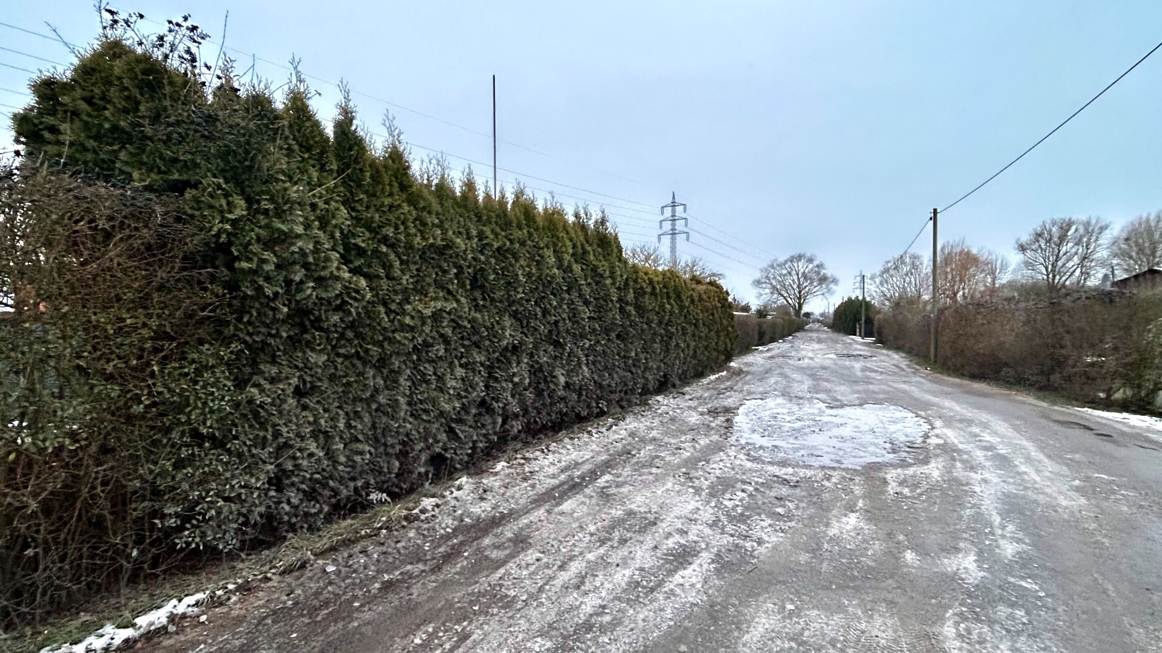 Die Thuja muss verschwinden: Umfrage MAZ - Ende der Stars in den  Kleingrten - Thujen-Verbot in Brandenburg