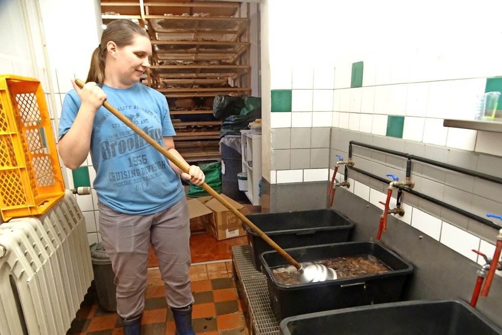 Familie Papenbrocks Alpakazucht und Wollmanufaktur in Walsleben