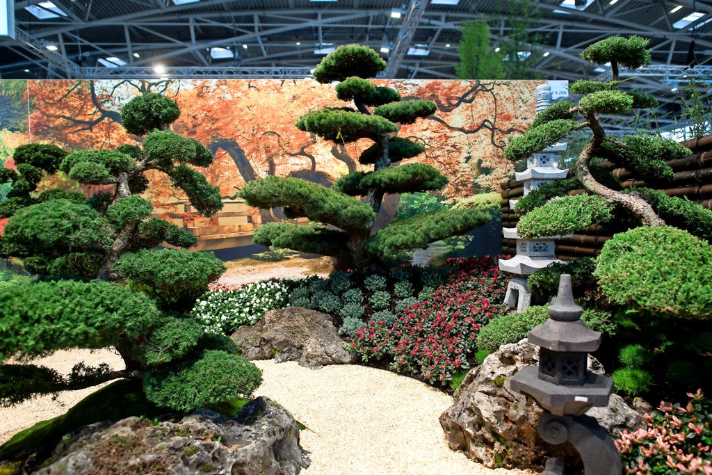 Diebe stehlen Bonsai-Bume im Wert von 10.000 Euro