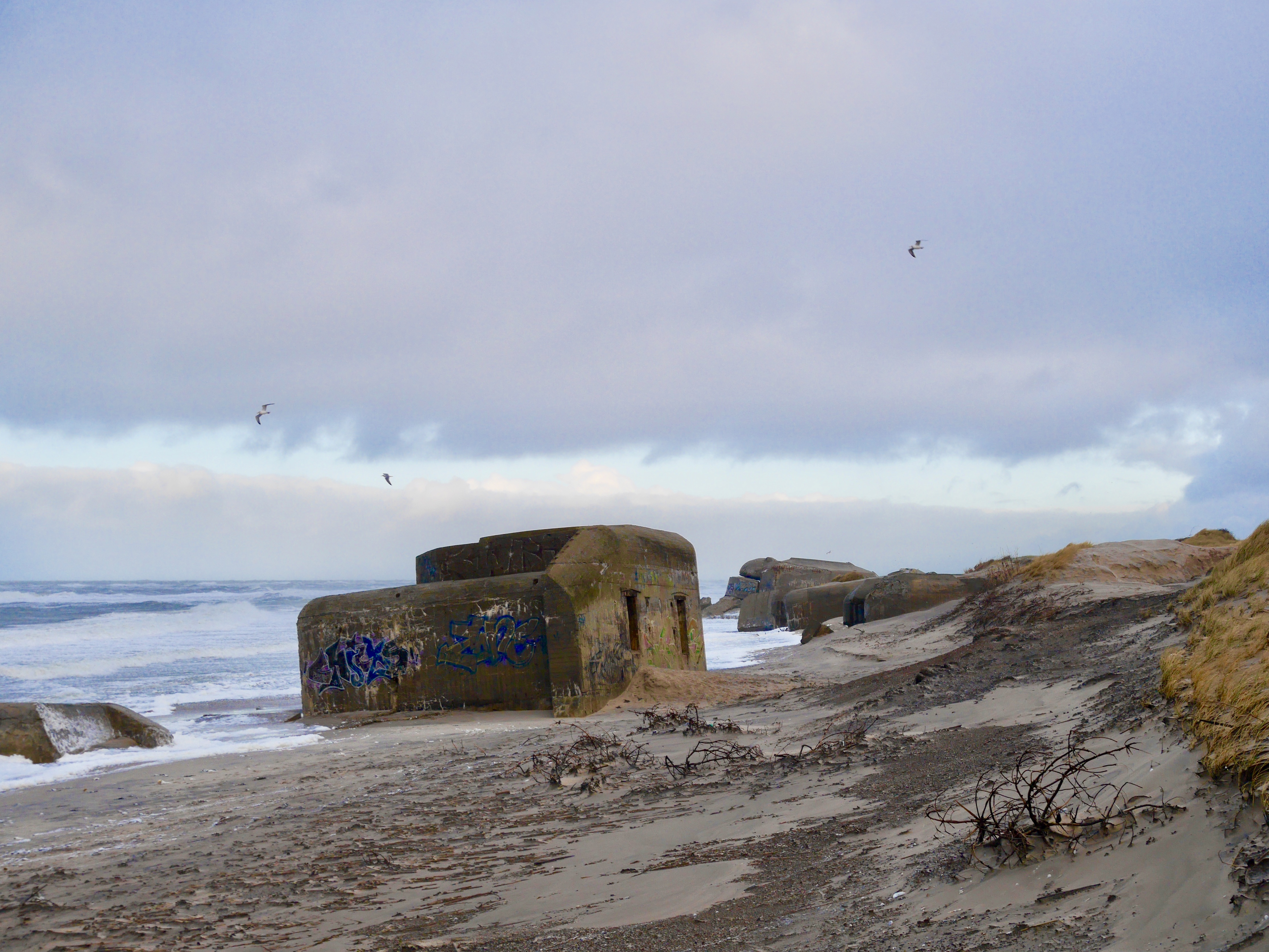 Dänemark: Ein Strand mit Bunkern | reisereporter.de