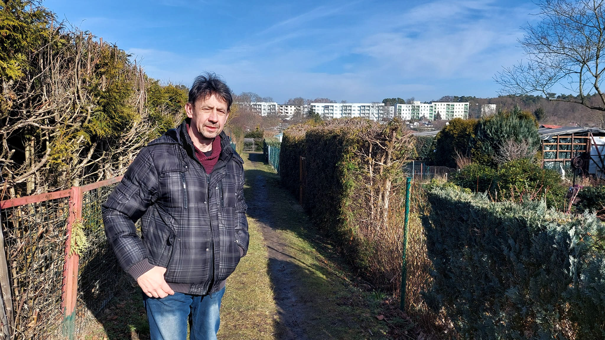 Thuja-Verbot: Fristen fr die Entsorgung in Brandenburg