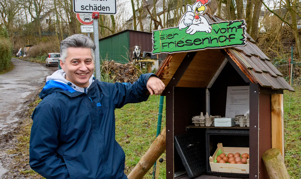glücksfeder klebrige blätter Glücksfeder main image 0