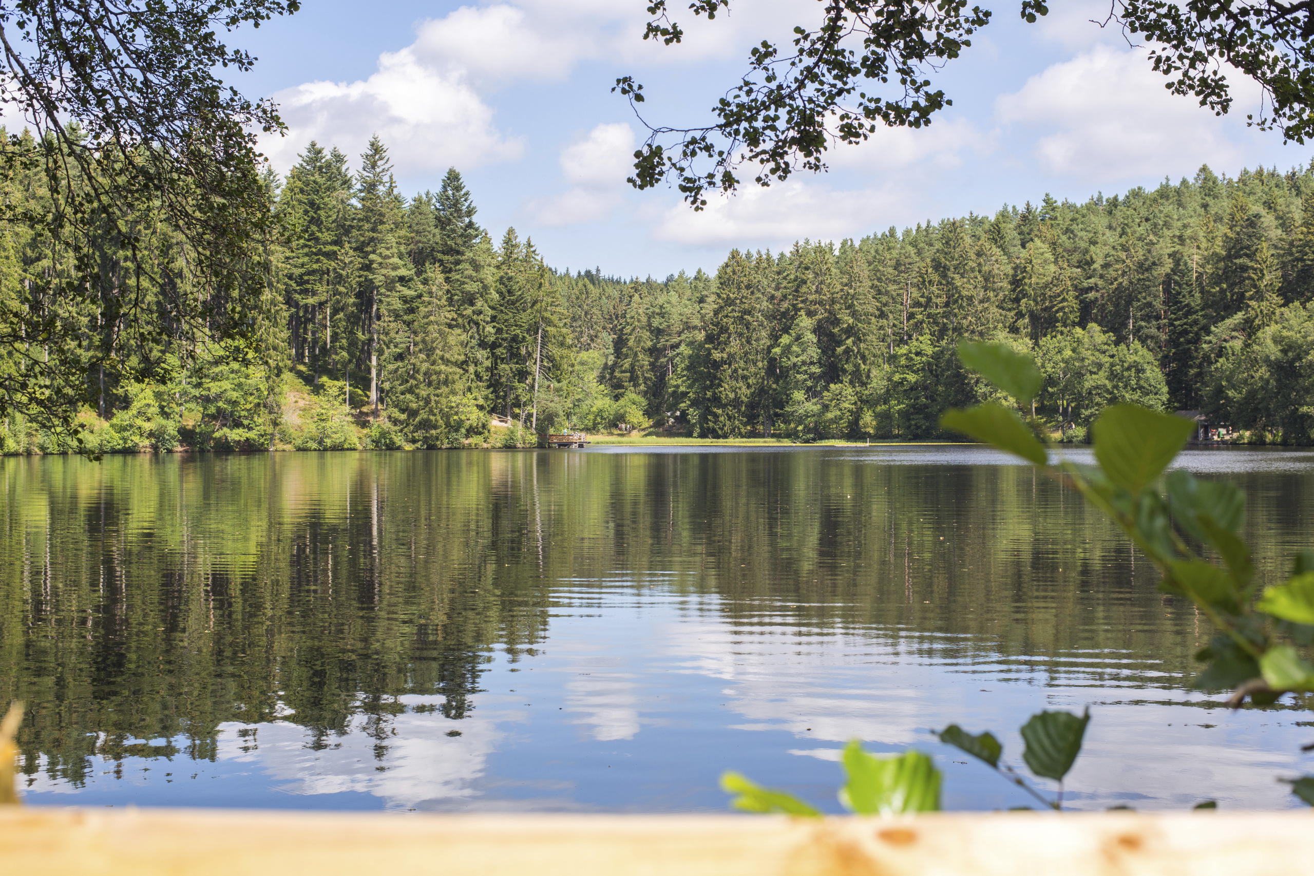 11 schne Seen im Schwarzwald zum Baden im Sommer