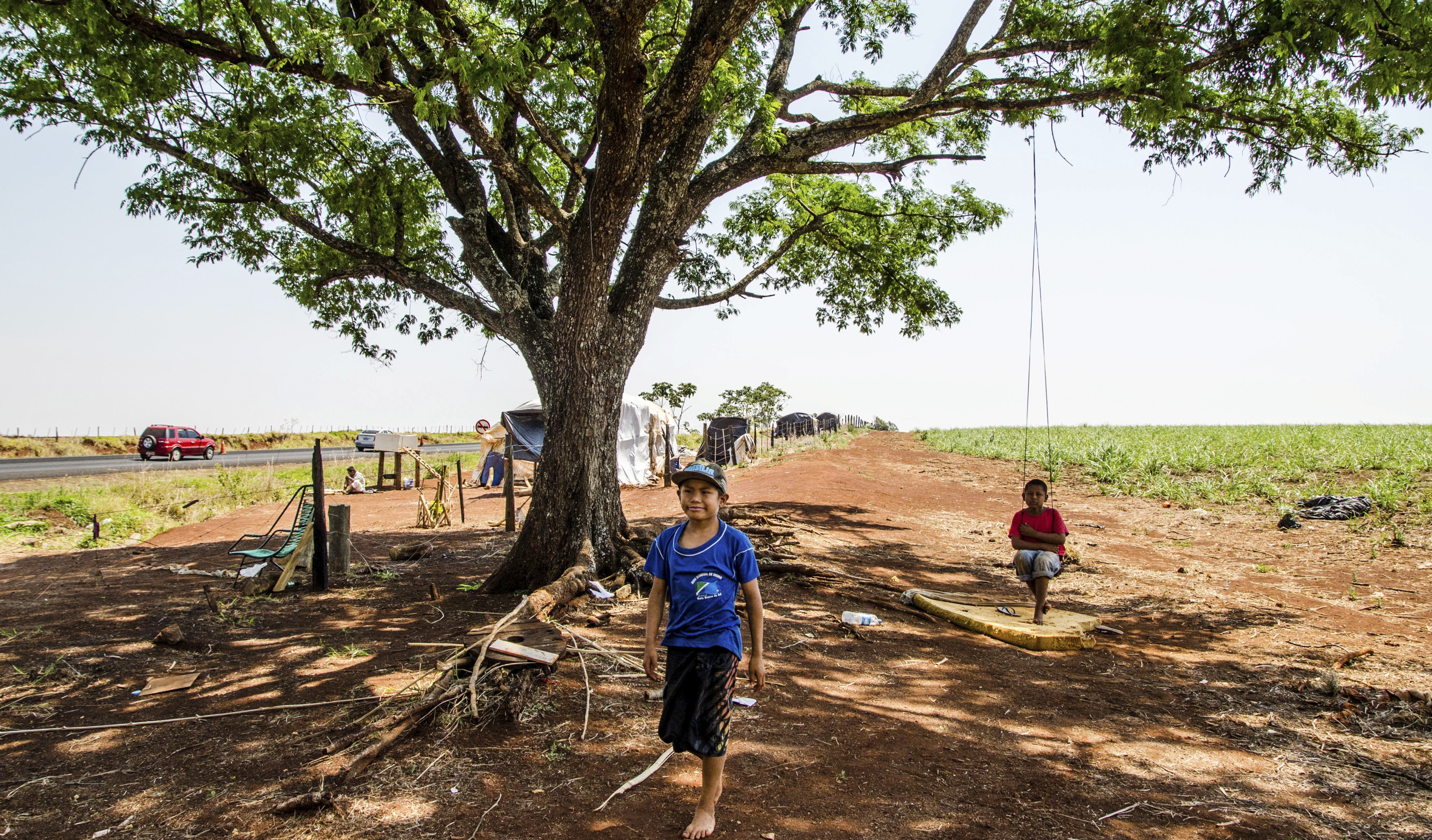 To barn leker ved siden av de enorme sukkerplantasjene som karakteriserer landskapet i delstaten Mato Grosso do Sul i Brasil. Langs veiene i delstaten finnes det flere tilbaketakelser av jord, eller jordokkupasjoner.