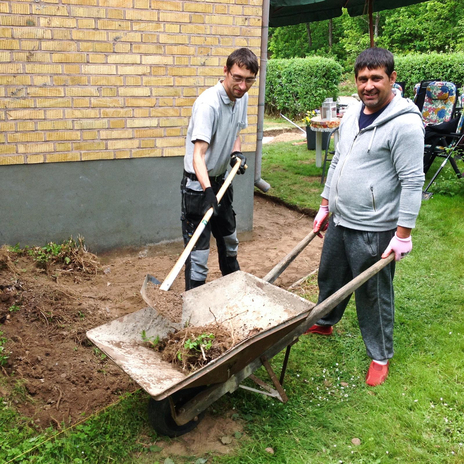 Gheorge och Cezar som utför trädgårdsarbete. 