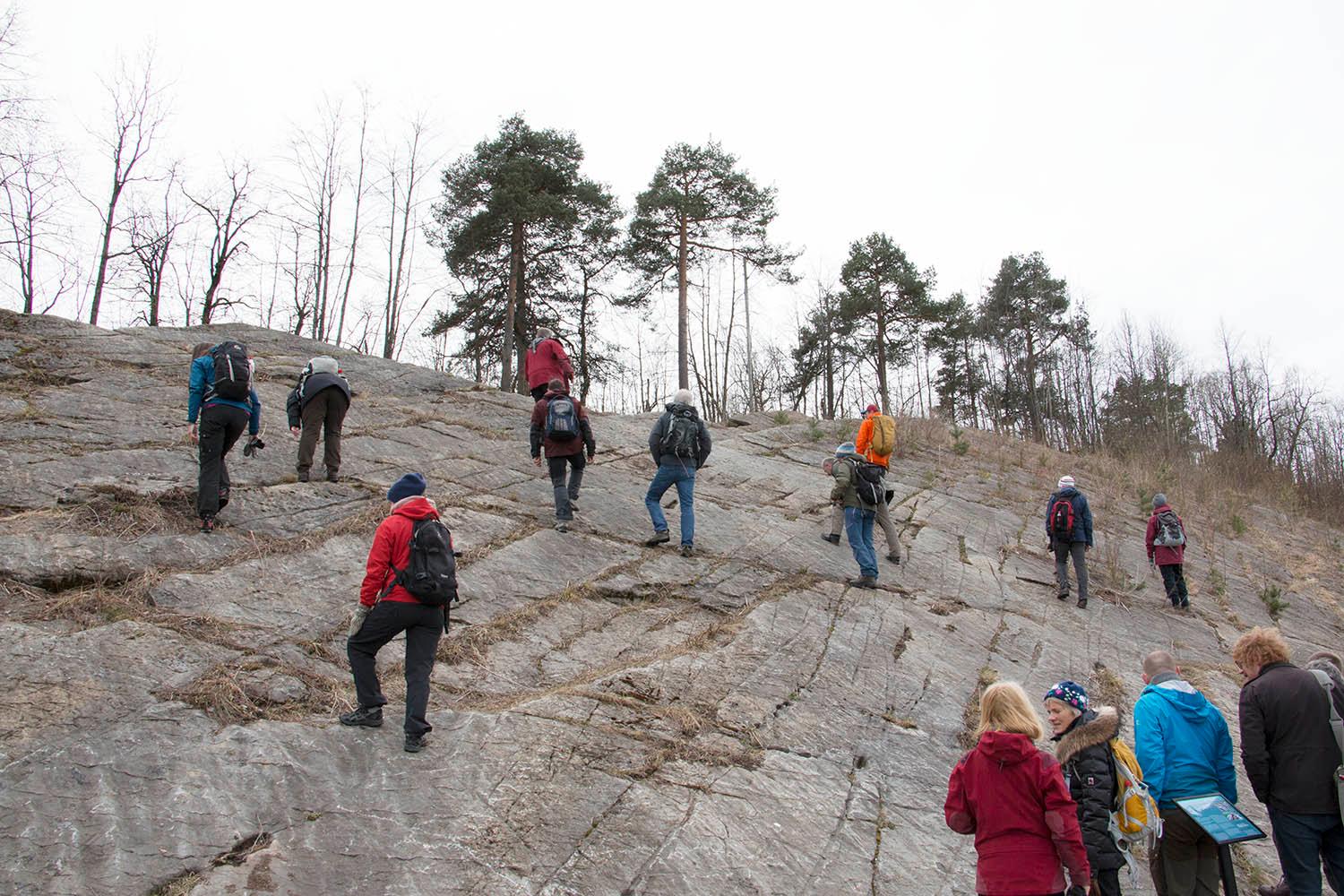 GRUPPE: Jørn Hurum leder gruppa i jakten på stein. Slemmestad i Buskerud er et skattekammer. Det finnes spor etter urhavet over alt. Her leter de på flatt fjell.