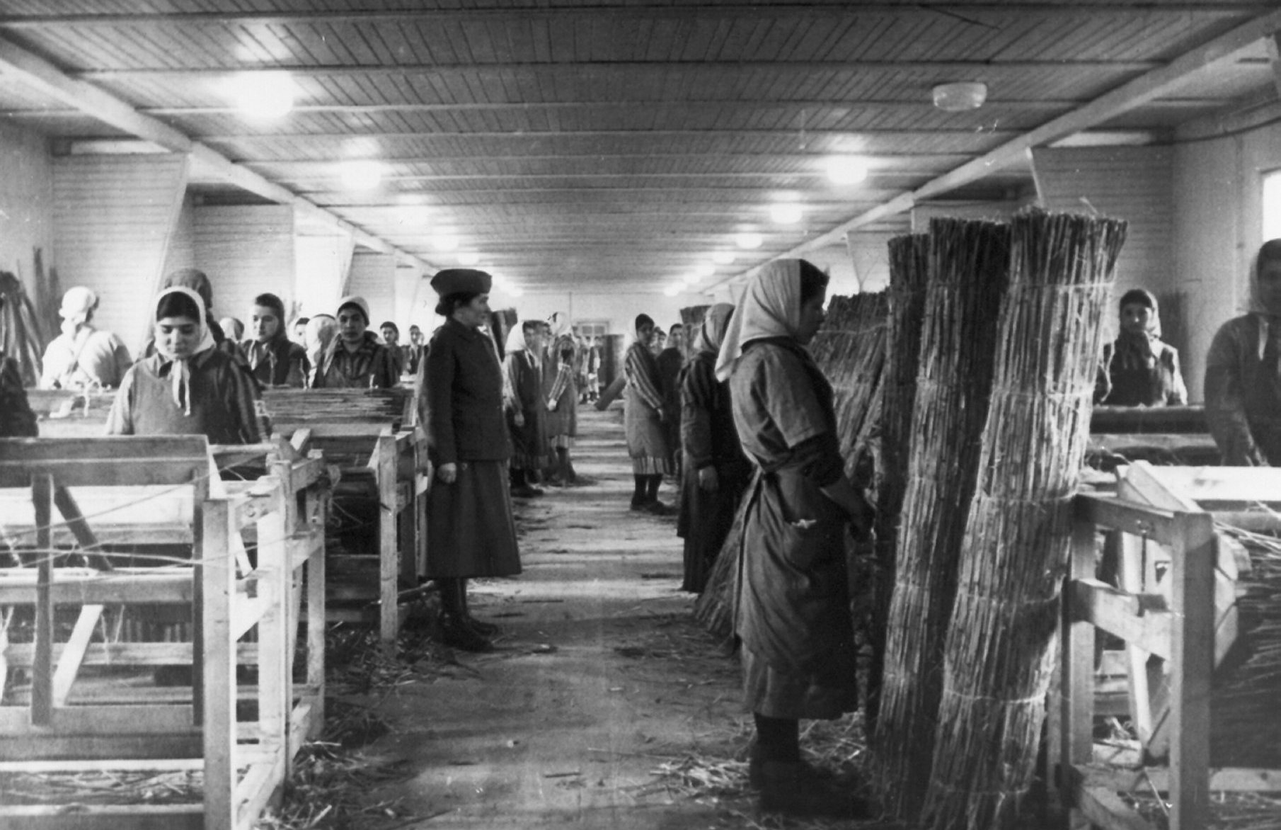 Ravensbrück var Hitler-Tysklands eneste rene kvinneleir. Fangene måtte arbeide hardt, også for tyske bedrifter.