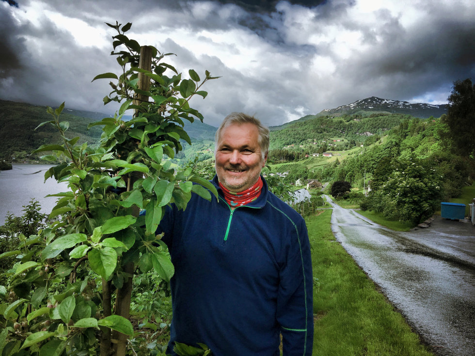 Eplebonde og siderprodusent Asbjørn Børsheim på Hakastad gård dyrker 20 sorter epler i de bratte årkene i Ulvik.