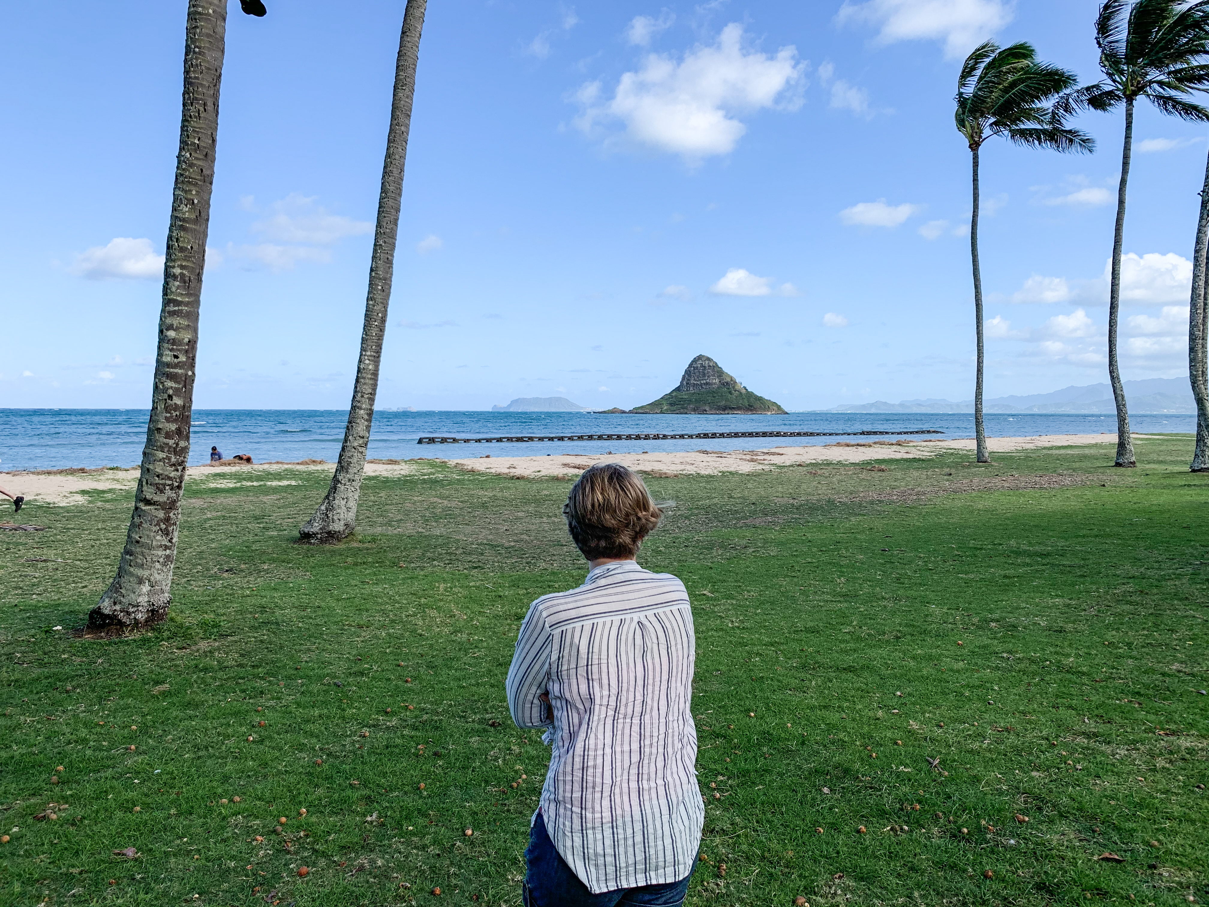 Hanna Wänerskog, 20år, sveptes bort i havet på Hawaii för ett år sedan och har aldrig setts sedan dess.

Familjen Wänerskog åkte till Hawaii för att få en bild av det som hände.