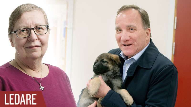 Stefan Löfven lämnar i turbulent tid