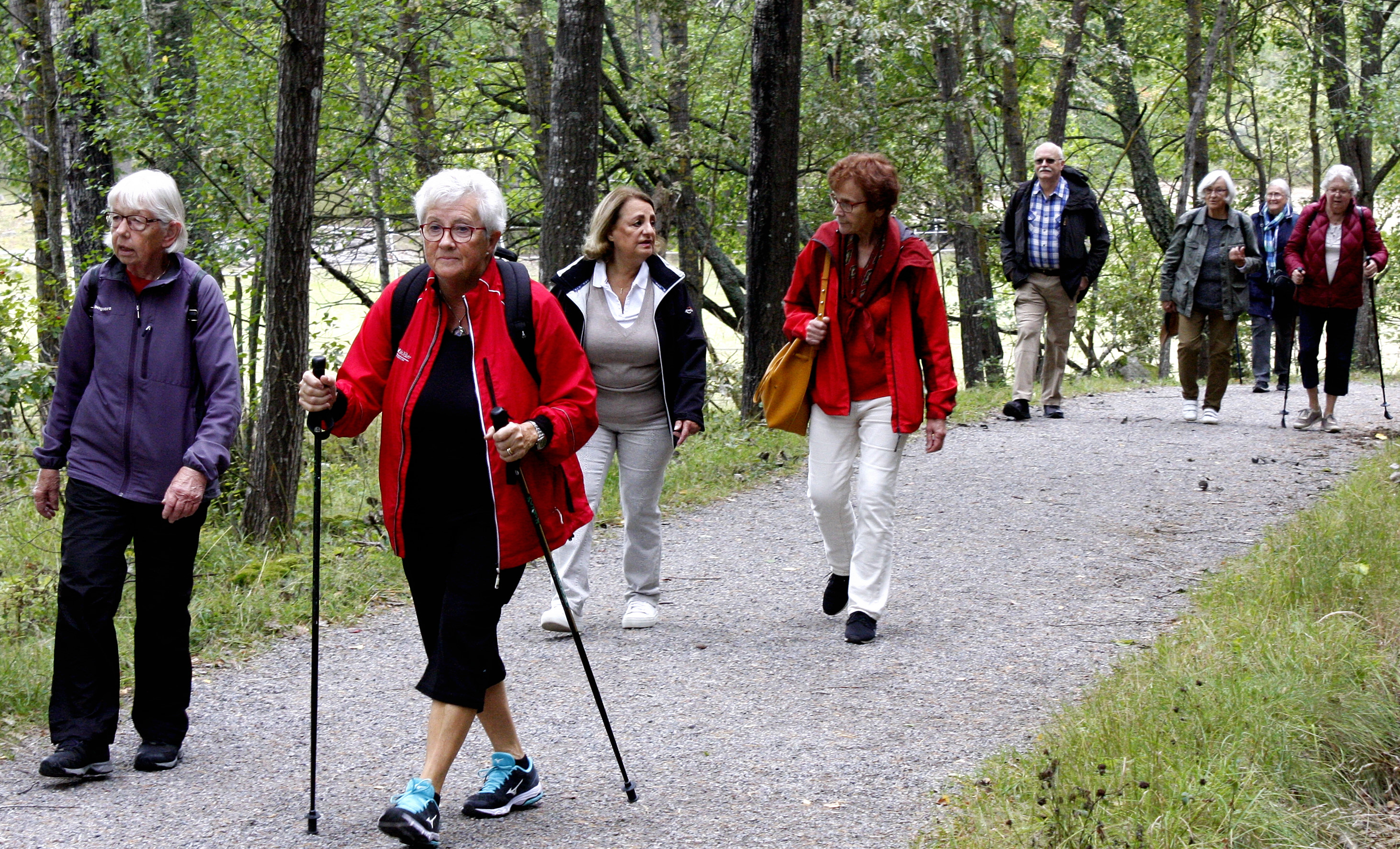 Promenader bryter isolering och ensamhet för äldre