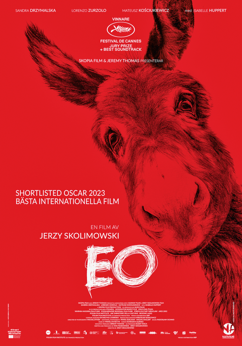 Oscarsnominerade filmen ”EO” har svensk biopremiär den 24 mars.