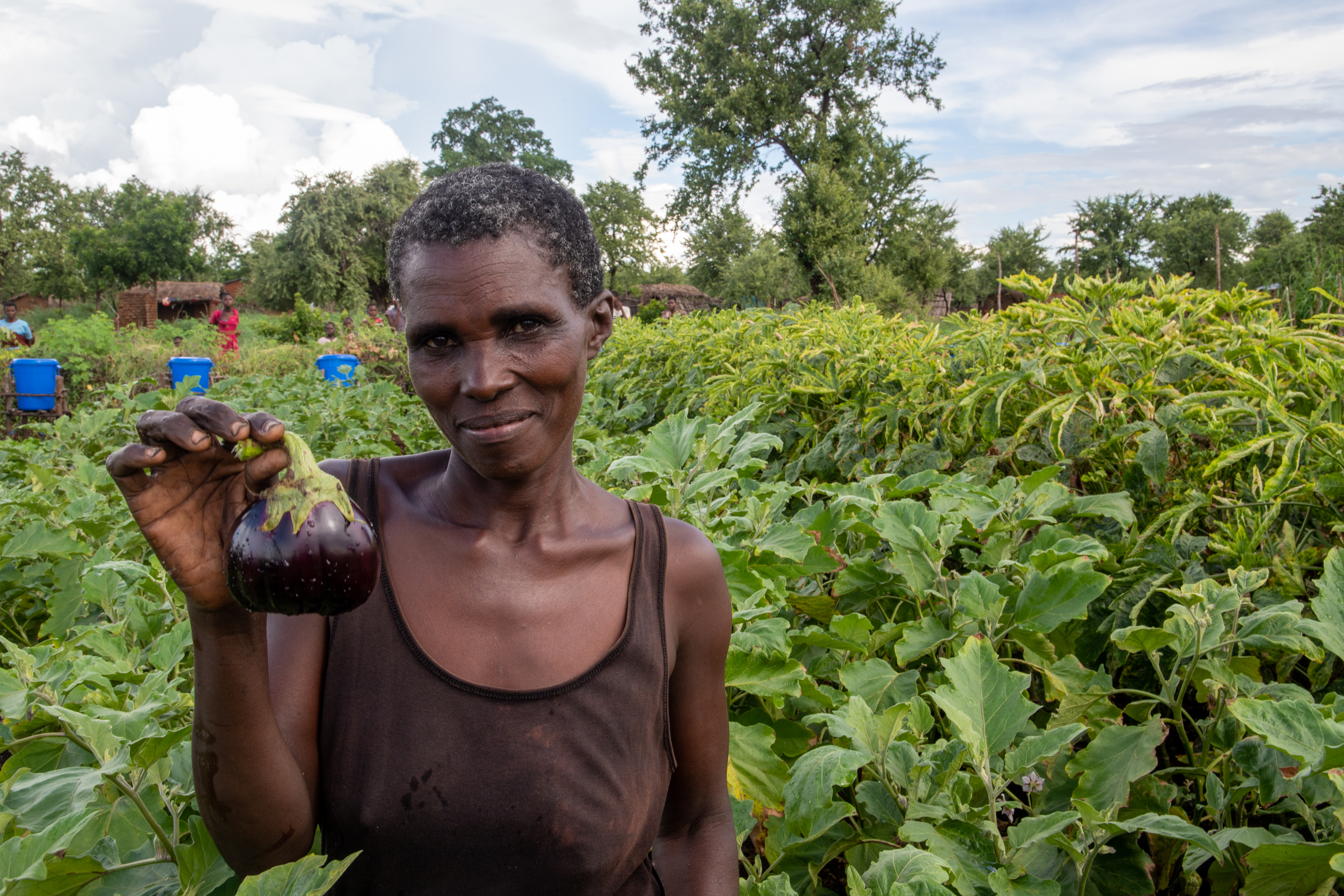 Malawi