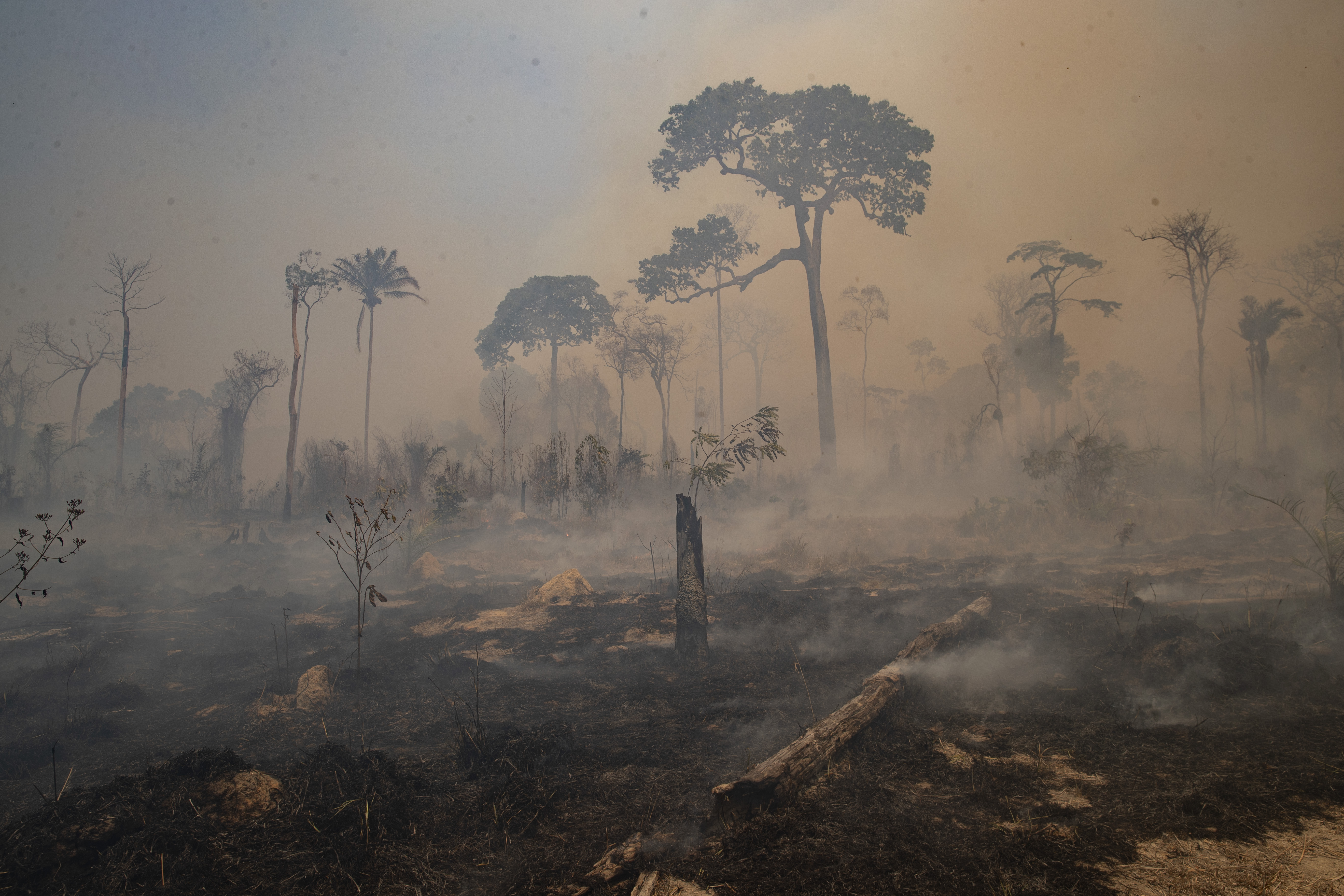 Urfolksaktivister drepes daglig i Amazonas