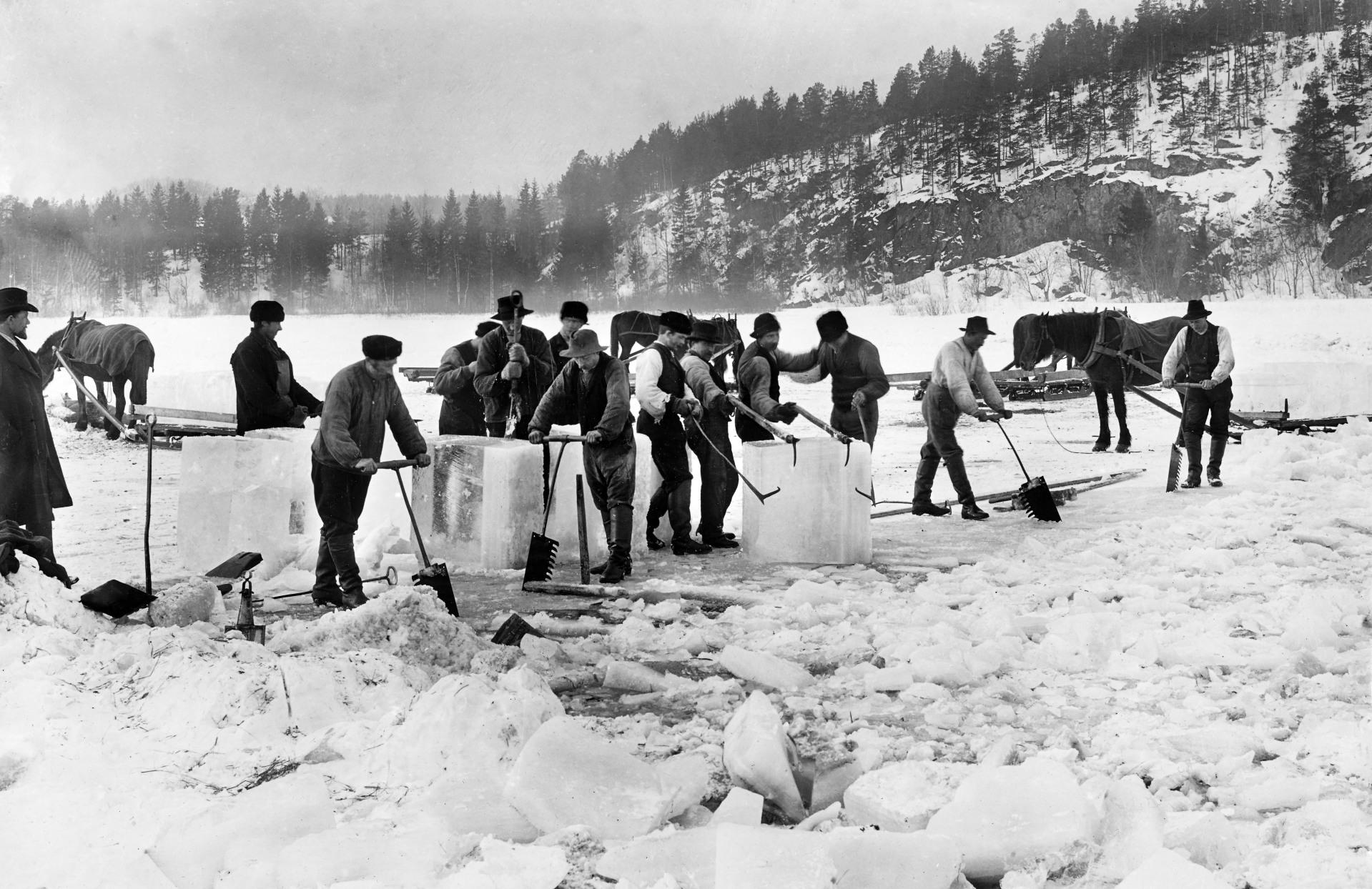 På Østensjøvannet ble det skåret is til 1920-tallet. Kunden ville ha glassklar is og det var derfor en omfattende    jobb å måke og rense vannet slik at det ikke kom forurensing til. Foto fra 1902.