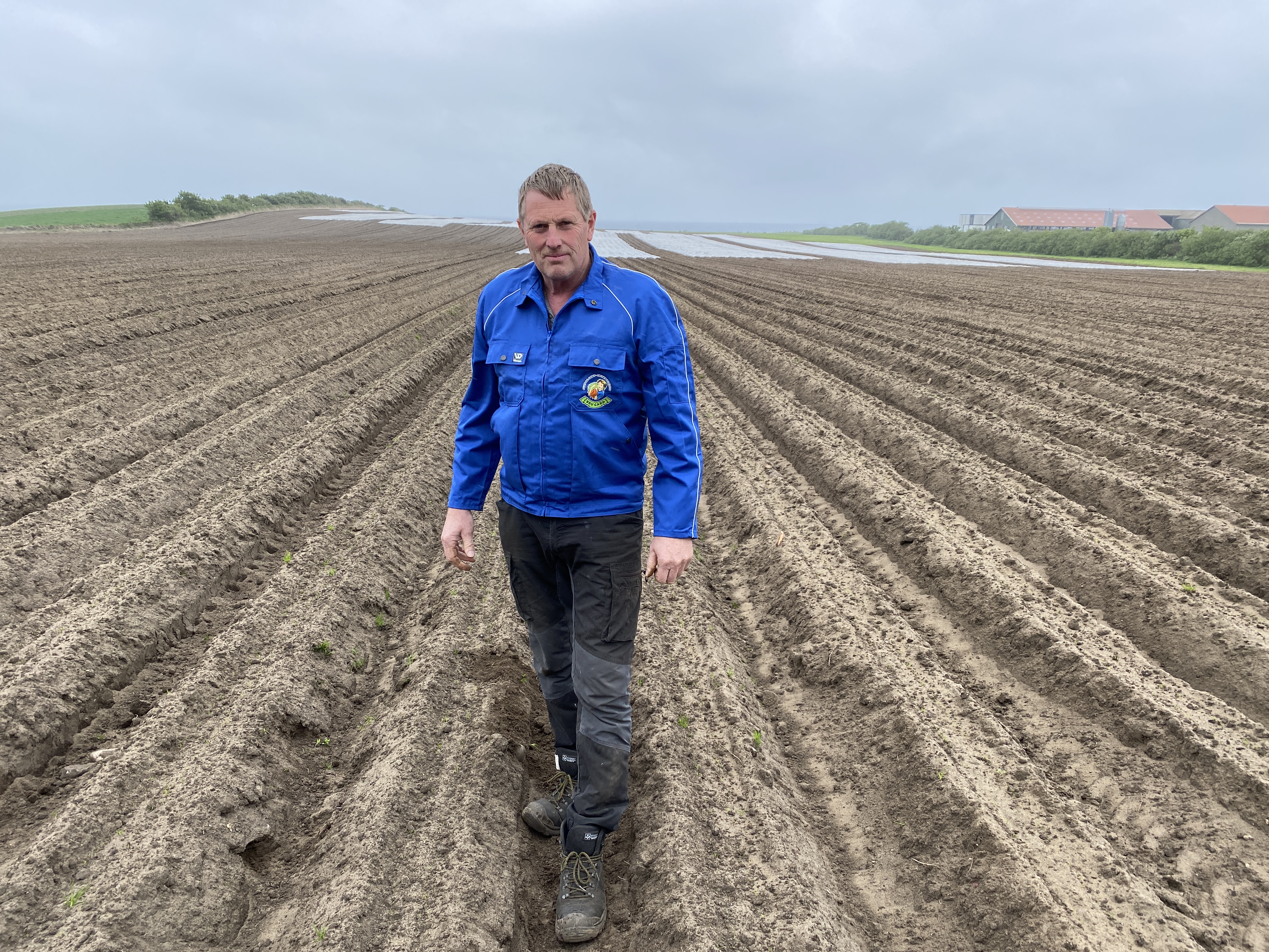 Både teknologi og livsstilsendring må til hvis landbruket produsere med mindre sprøyting og kunstgjødsel, mener gulrotbonde Laurits Stokkeland. Han investerer gjerne i lukerobot «hvis den virker». – Men folk må også akseptere å betale mer for maten, sier han.