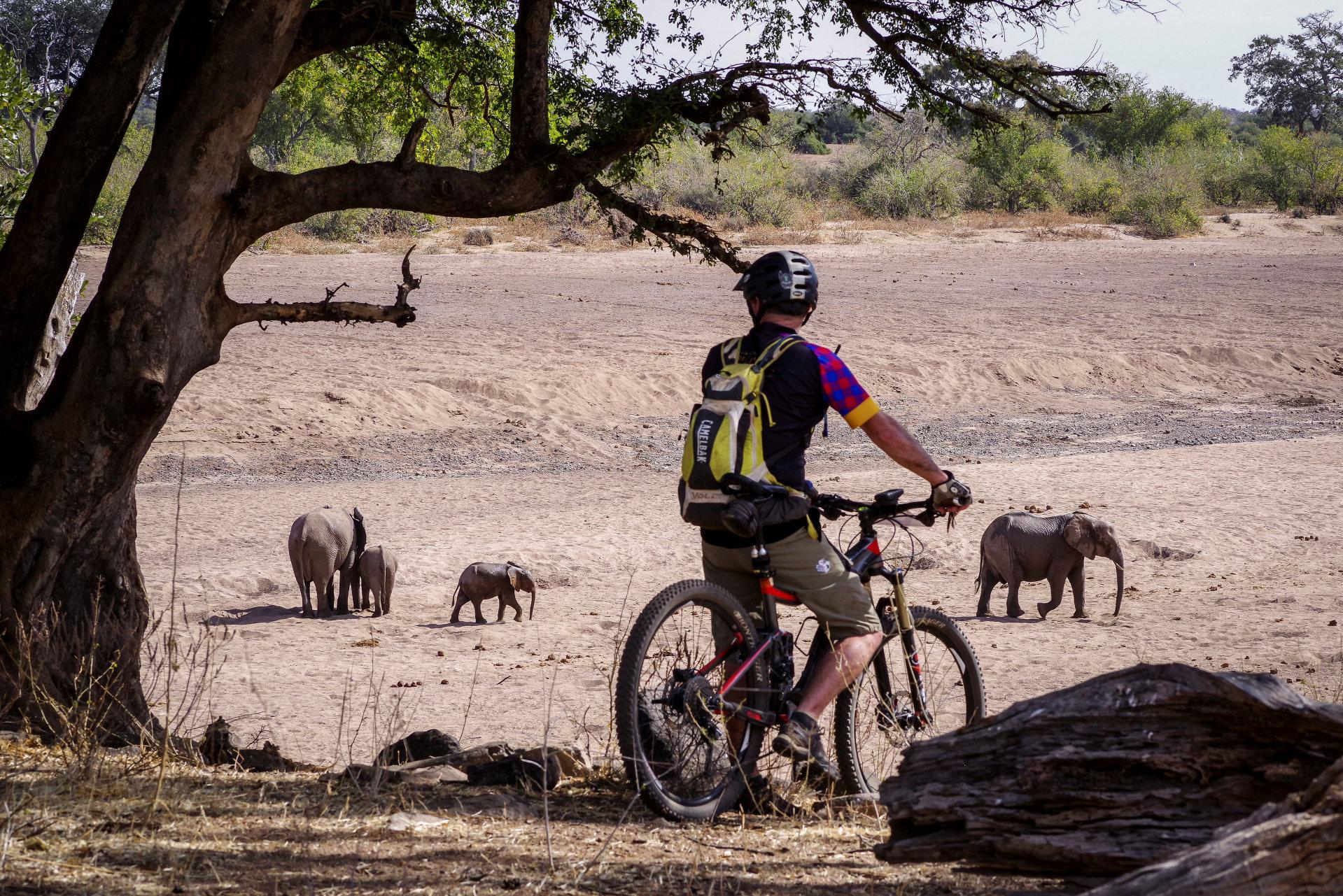 Sykkelsafari – eventyr på to hjul