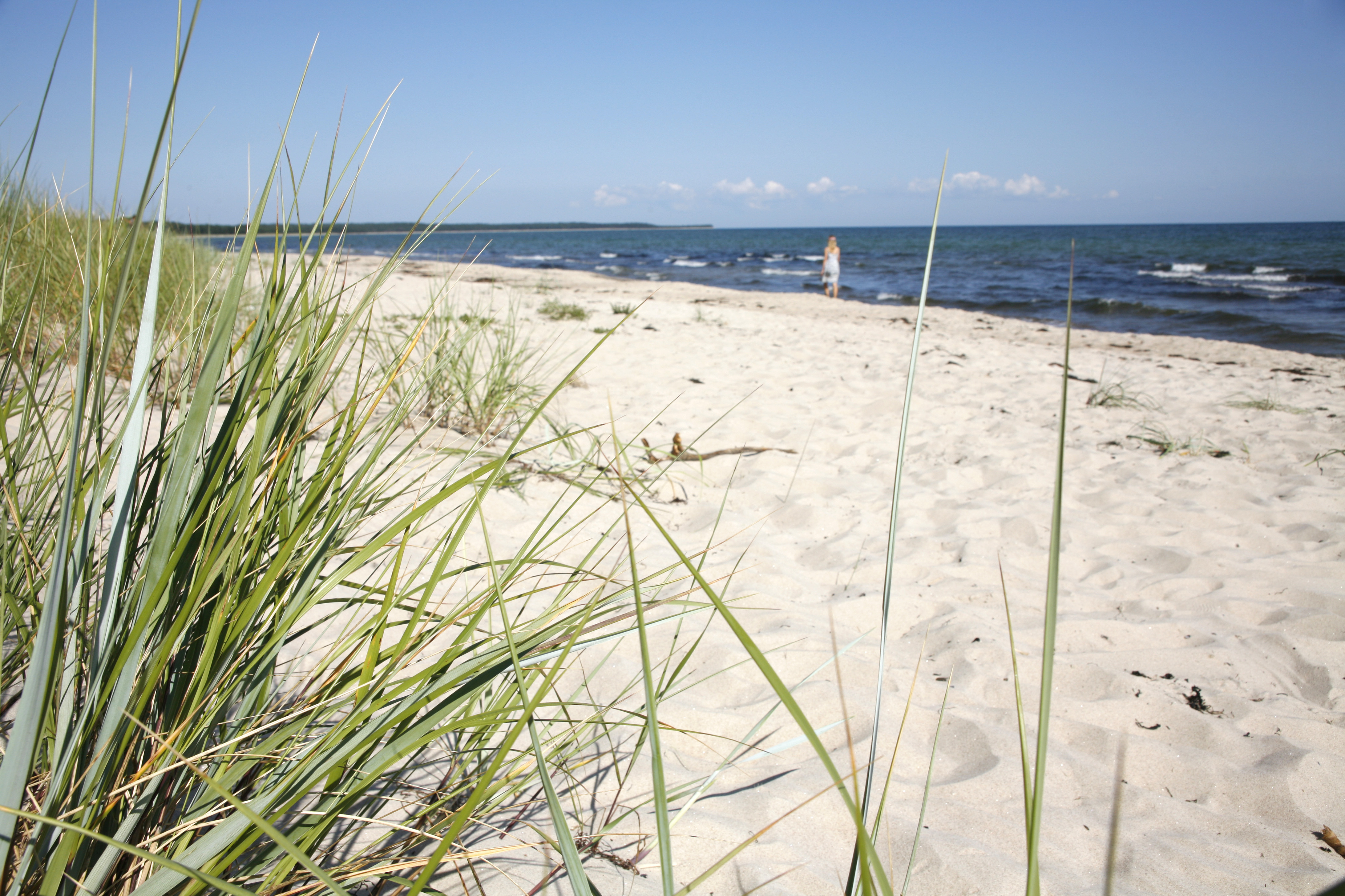 Tema resor Öland - juli 2010Böda Sand, strax norr om campingen i Böda Sand.