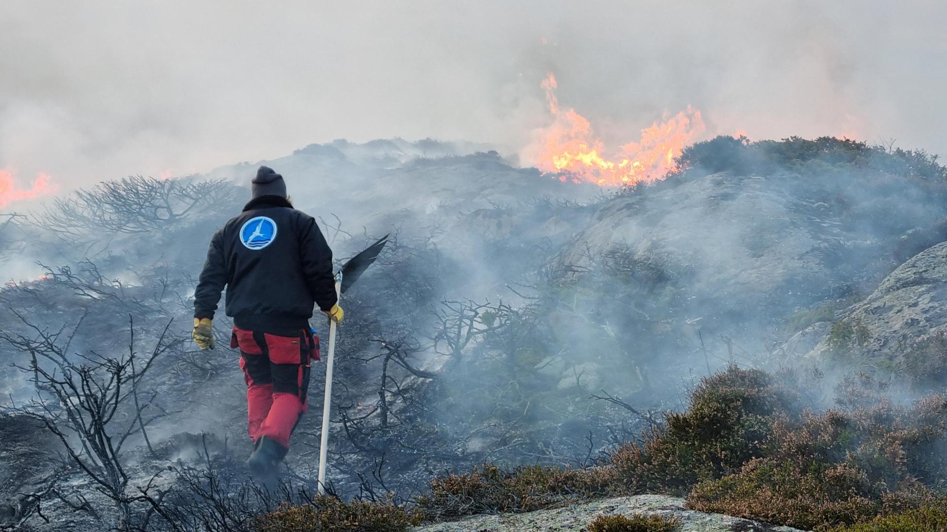 Holder Eldgammel Kysttradisjon I Live: – Et Samspill Mellom Natur Og ...