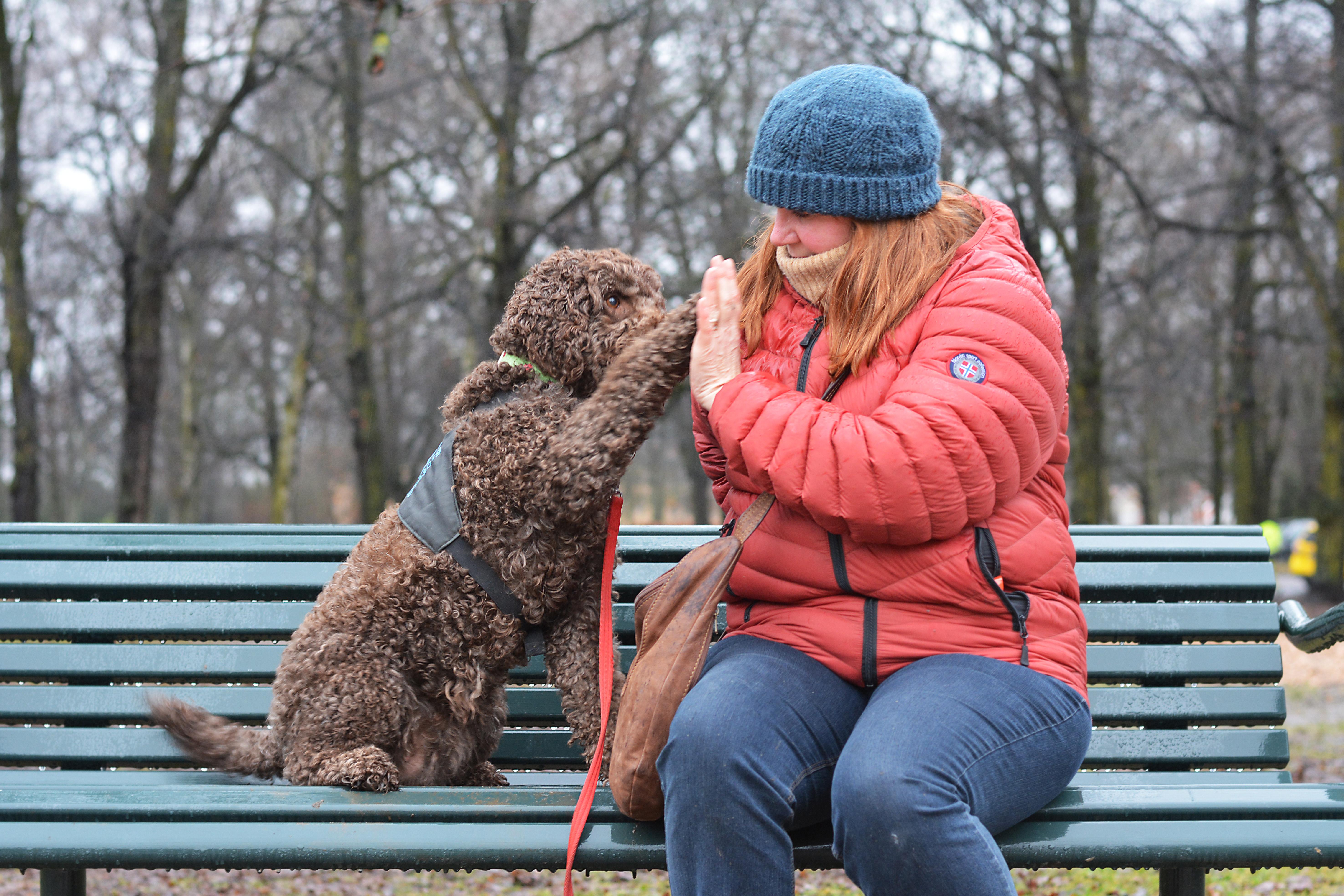 Bildet er av Grete Moene og hunden Ella. De sitter på en parkbenk. De gir hverandre "high five".