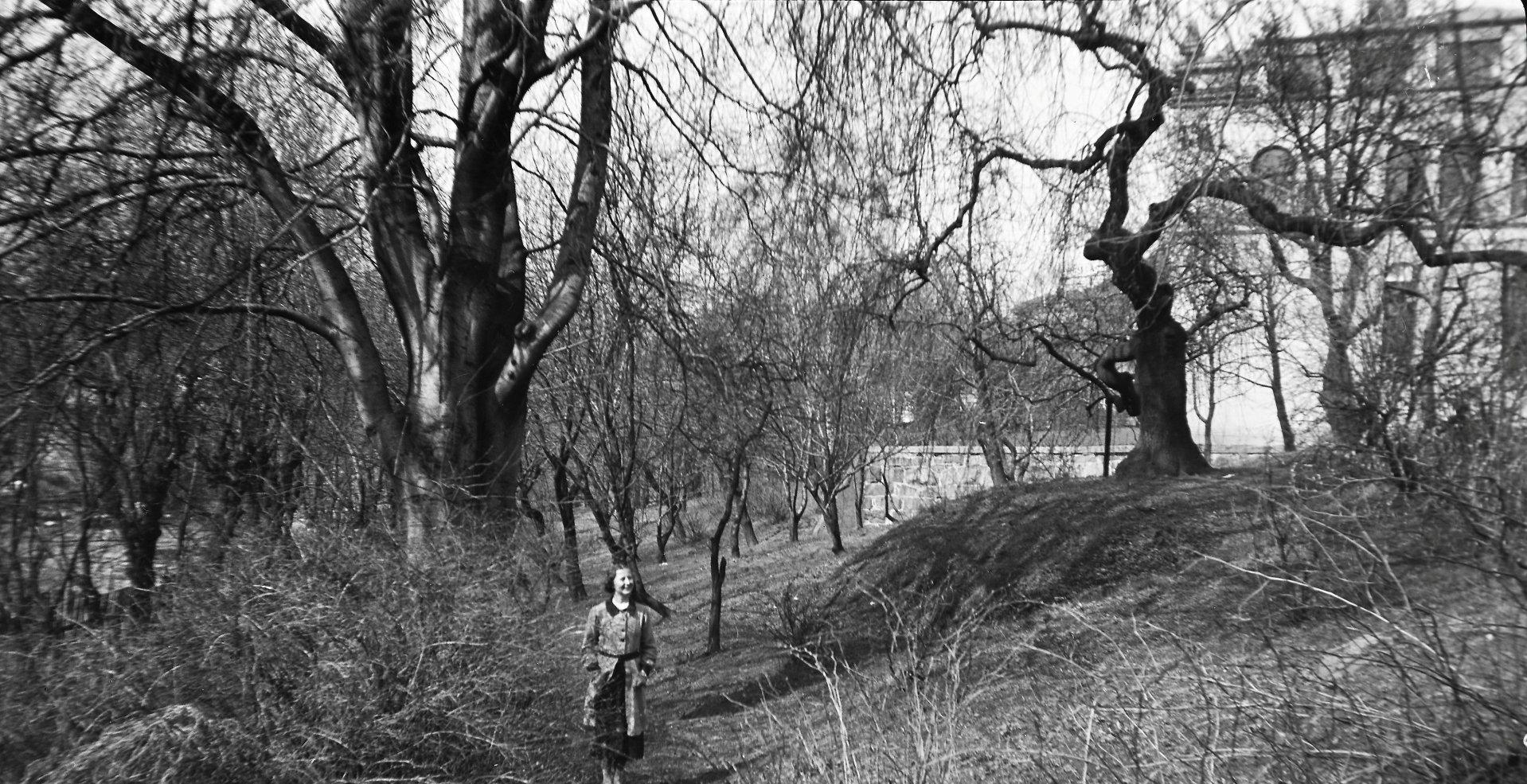 Lakkegårdens gamle hage mot Akerselva. I bakgrunnen Trondheimsveien 3 som tidligere huset Akers sparebank og rådhus, nå bl.a. restauranten Südøst. Foto fra 1937. Fritz Holland/Oslo Museum