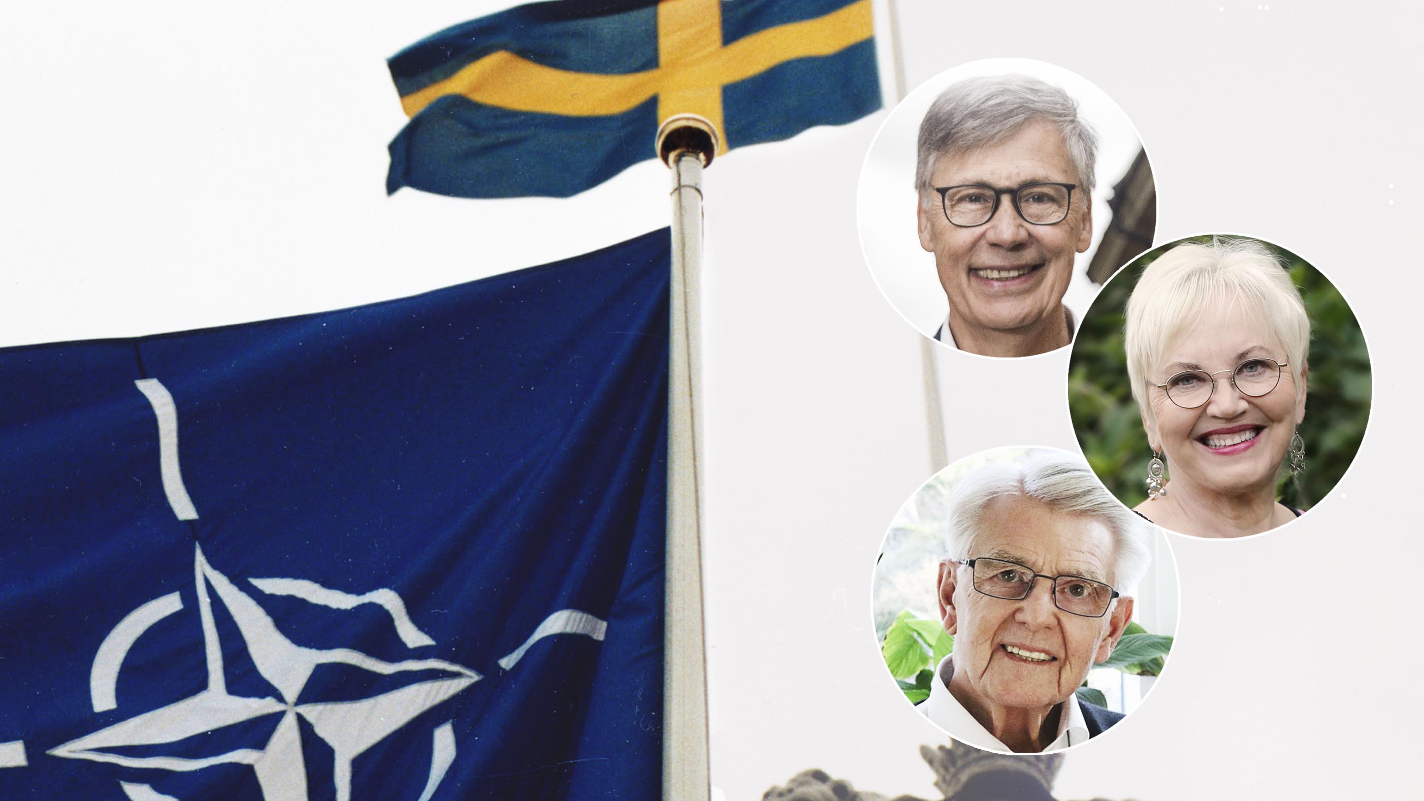 Vi frågar sju kristna ledare: Bör Sverige gå med i Nato?