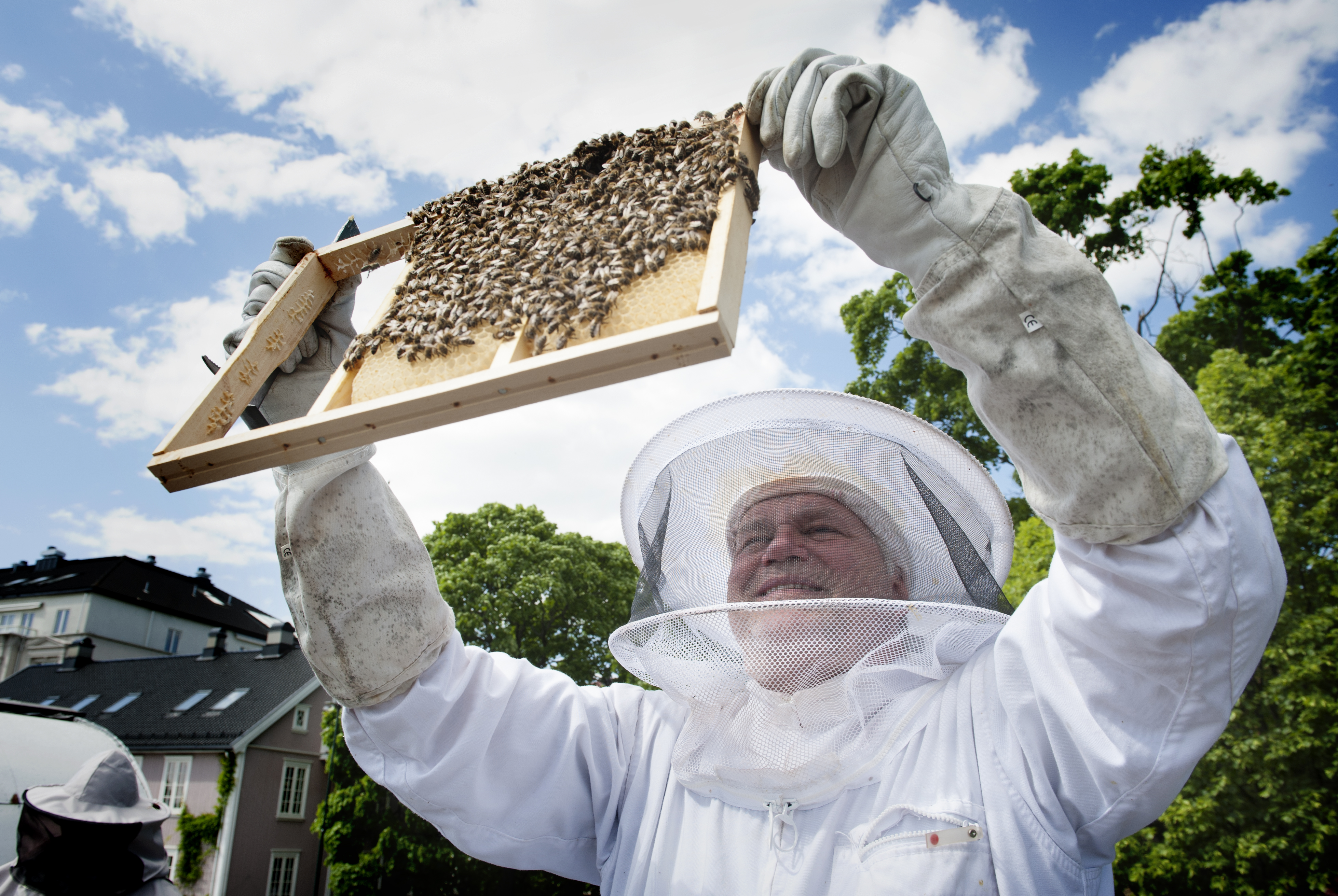 Bismak av himmel: Kirkelig fellesråd i Oslo satser på honning  