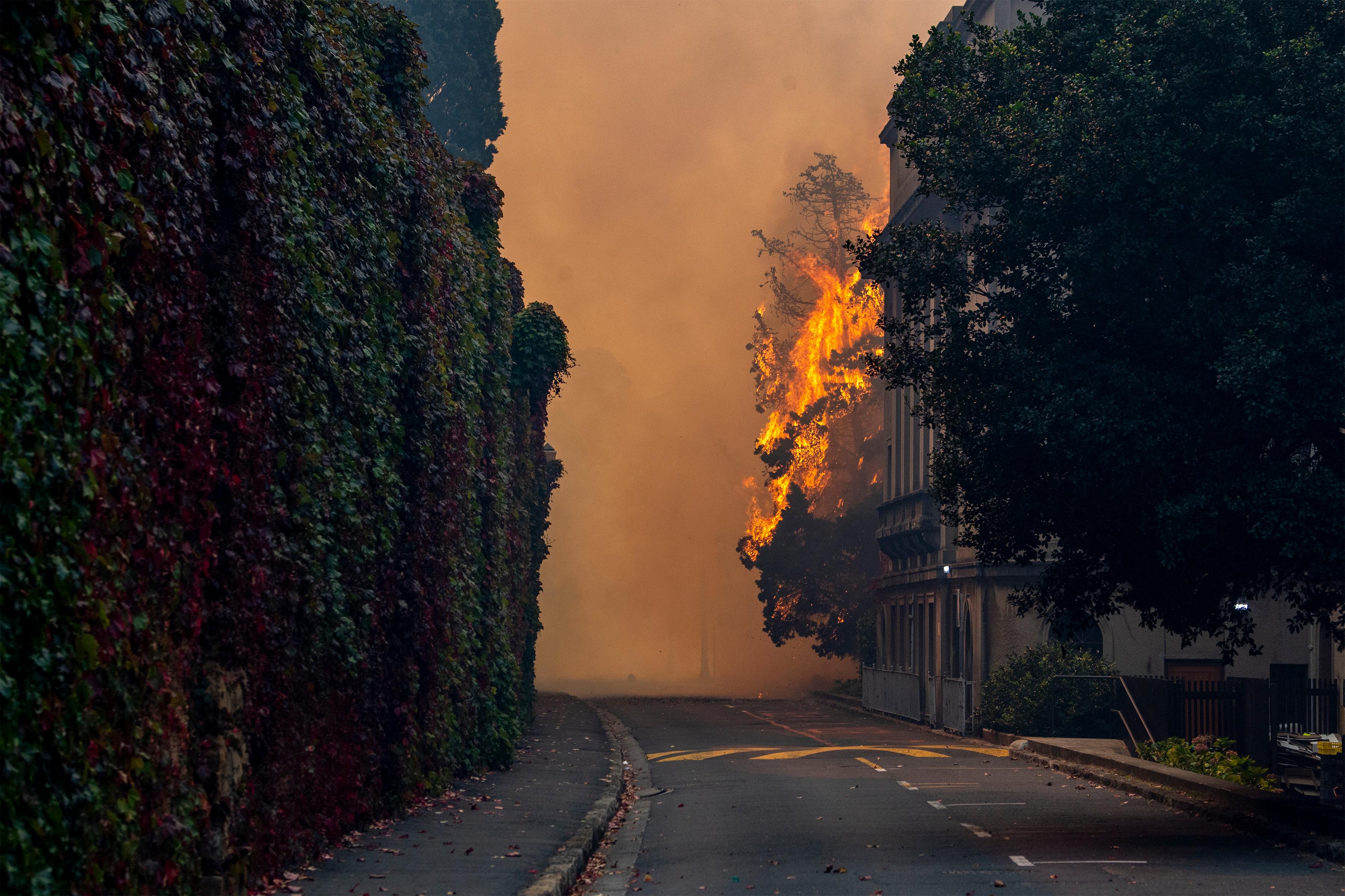Bildet viser skogbrann i Cape Town