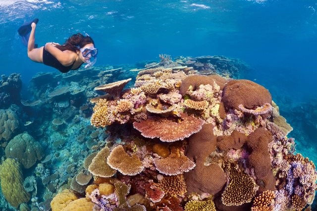 Nesten to millioner turister besøker årlig Great Barrier Reef, som er kåret til et av verdens sju naturlige underverk.