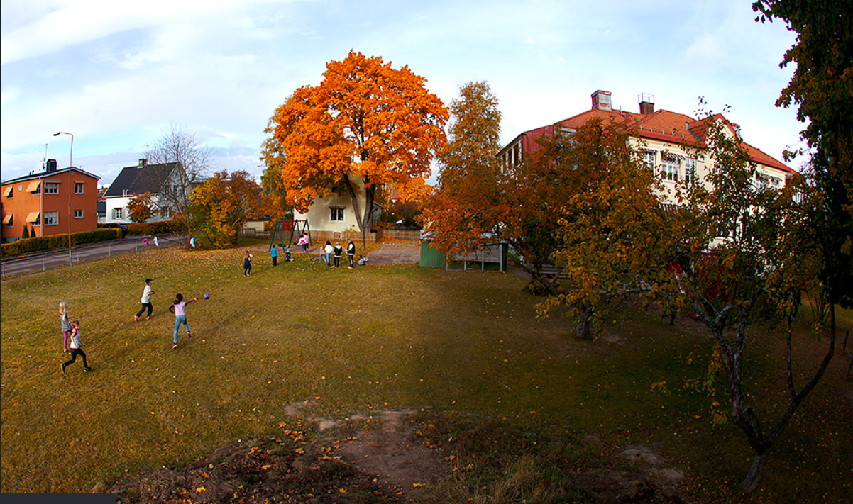 Immanuelskolan frias – och prickas – av Skolinspektionen