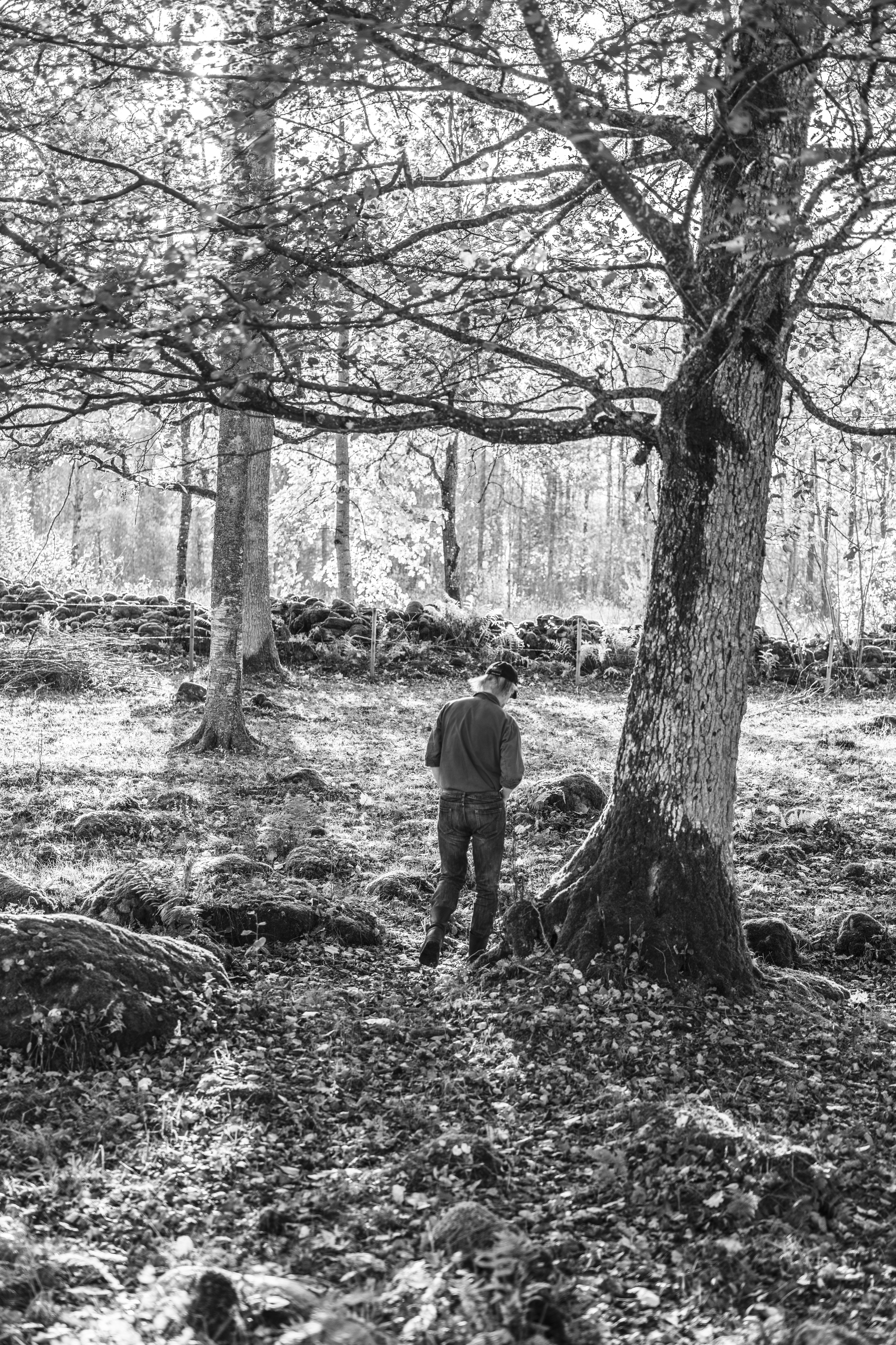 Magnus Malm. Fotografert i sitt hjem i Asklanda i Vårgårda kommune, Sverige.