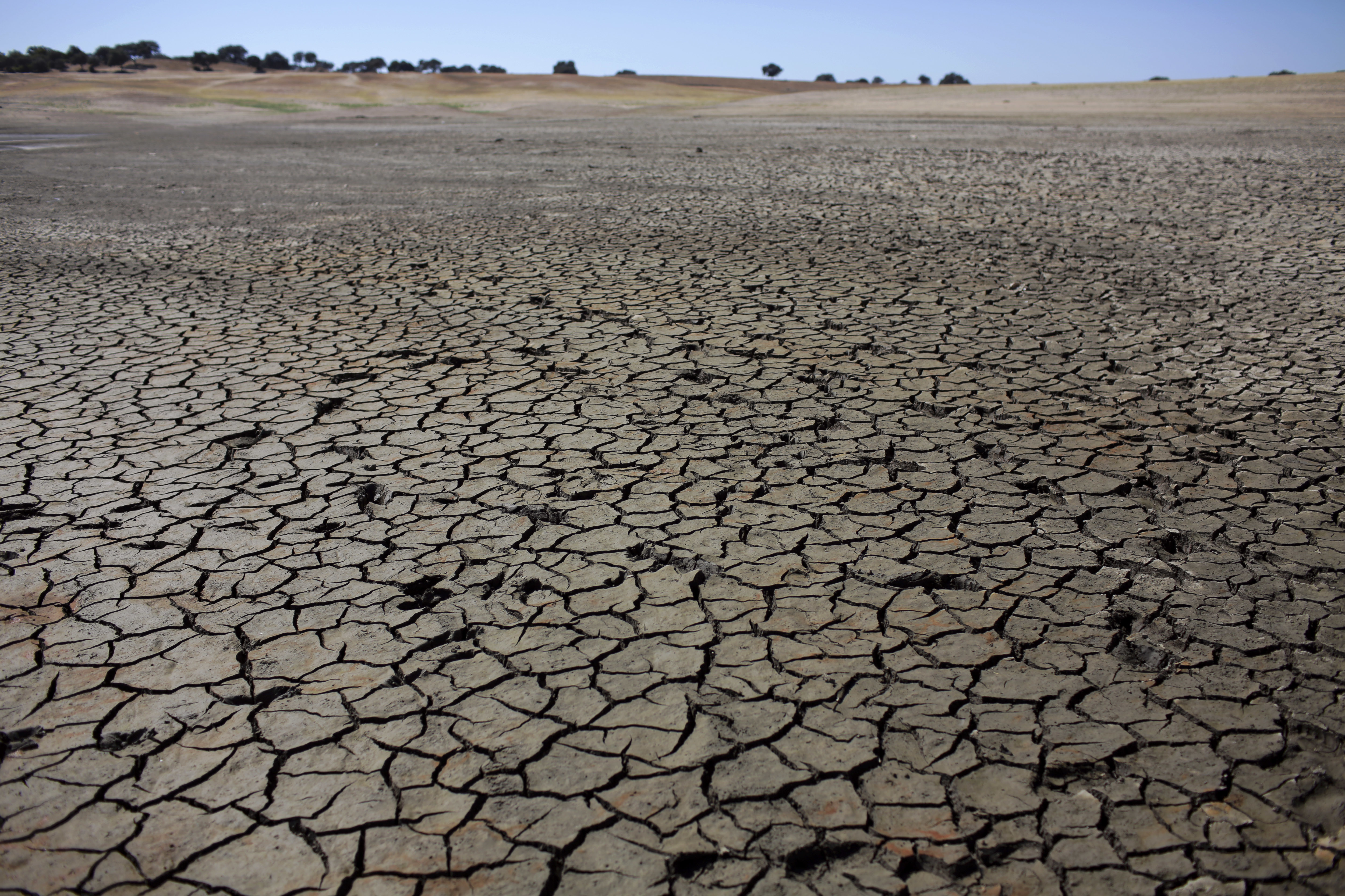 Portugal sliter også med langvarig tørke. Her har uttørket jord erstattet innsjøen Pego do Altar sør i landet. Portugals regjering har måttet ty til vanningsrestriksjoner midt på vinteren på grunn av den uvanlige tørkeperioden. Foto: Armando Franca / AP / NTB