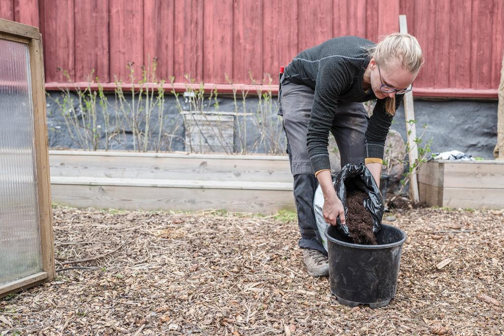 – En tilitersbøtte er perfekt for å plante én potet, sier Liv Derås Bjørnstad. Da slipper du også å tenke på, at du kan overføre potetsykdommer til en hel, liten åkerlapp. En bøtte eller potte for også plass overalt, du trenger ikke ha stor hage for å dyrke potet. 