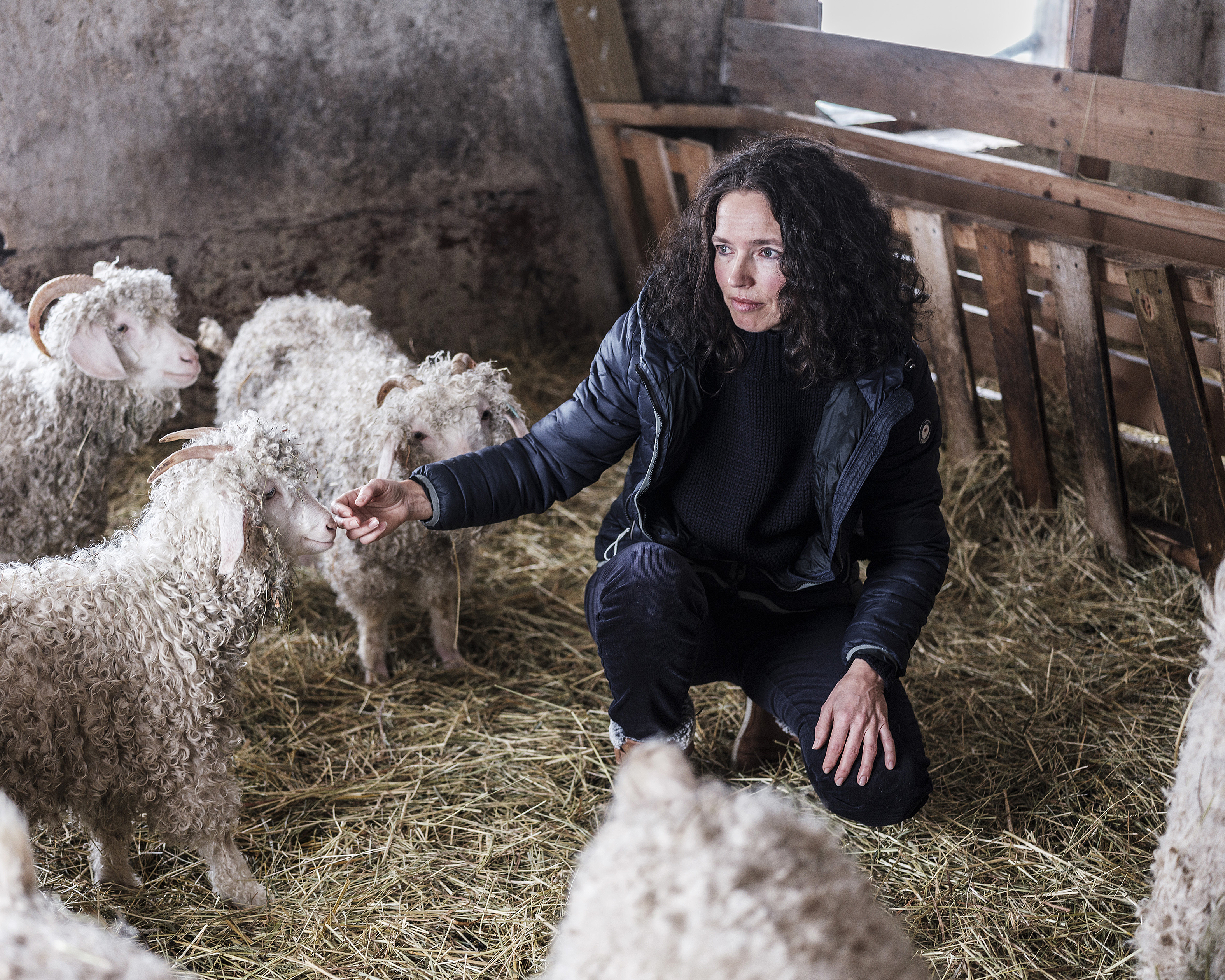 Forfattar Cathrine Knudsen i fjøsen på småbruket der ho bur. Denne veka er ho aktuell med sin femte roman.  