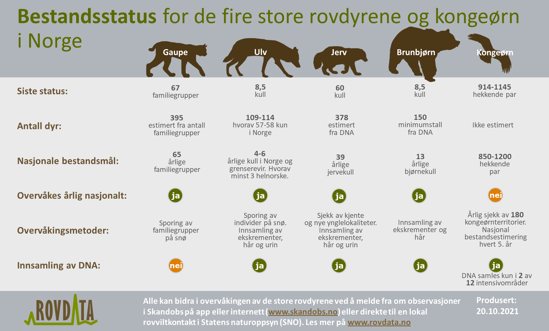 Slik er bestandsstatus for de fire store rovdyrene og kongeørn. Illustrasjon: Rovdata