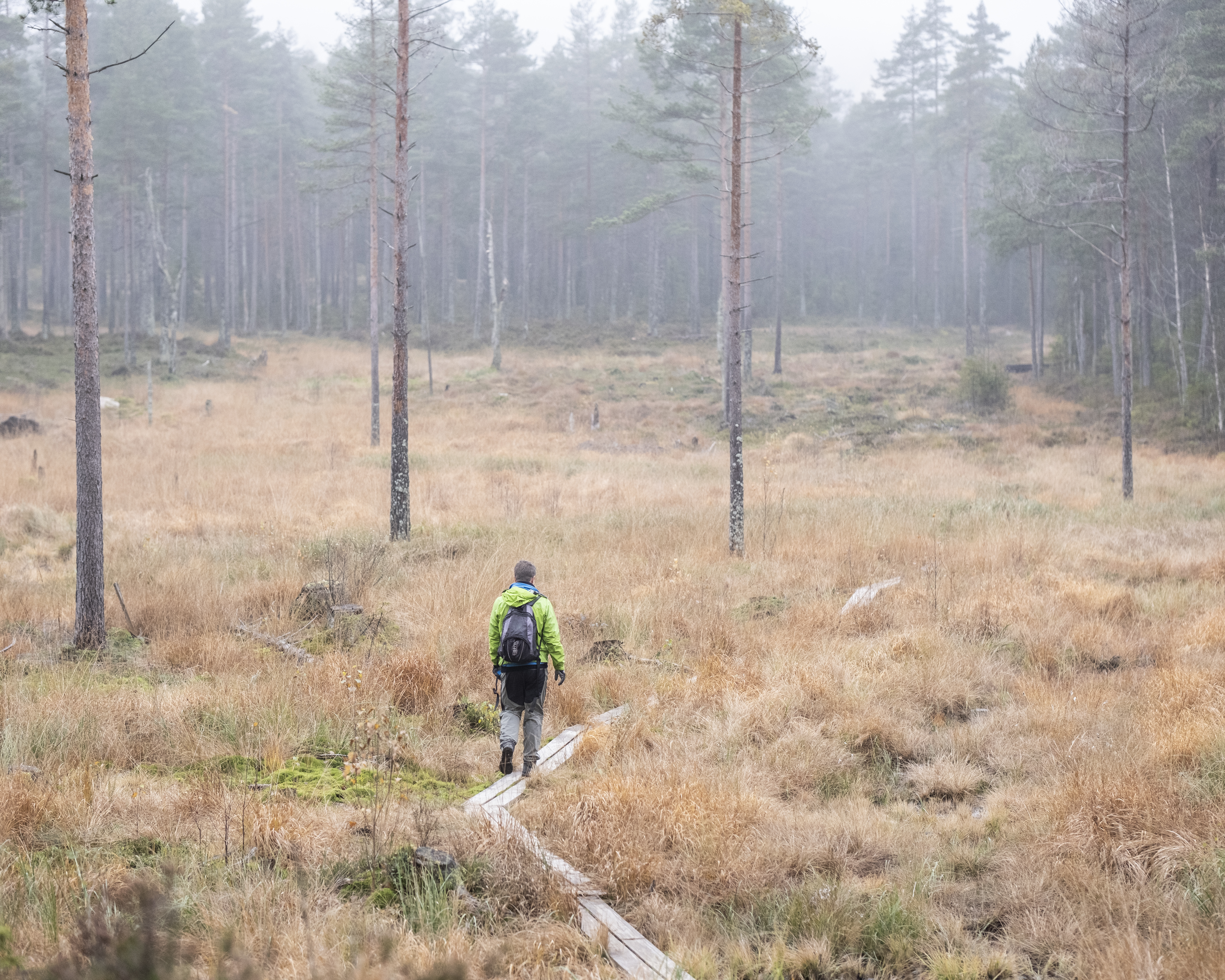 Restaurering av myr i Lillomarka. Håkon Eide Gundersen fra Naturvernforbundet i Oslo og Akershus