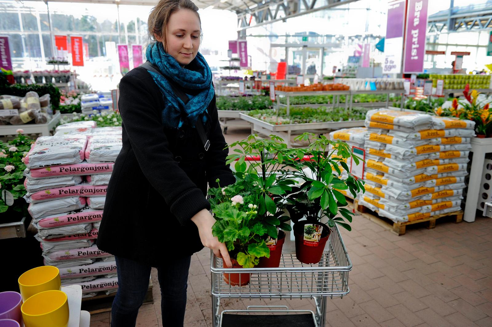 Plantagen sponsrar församlingsplantering