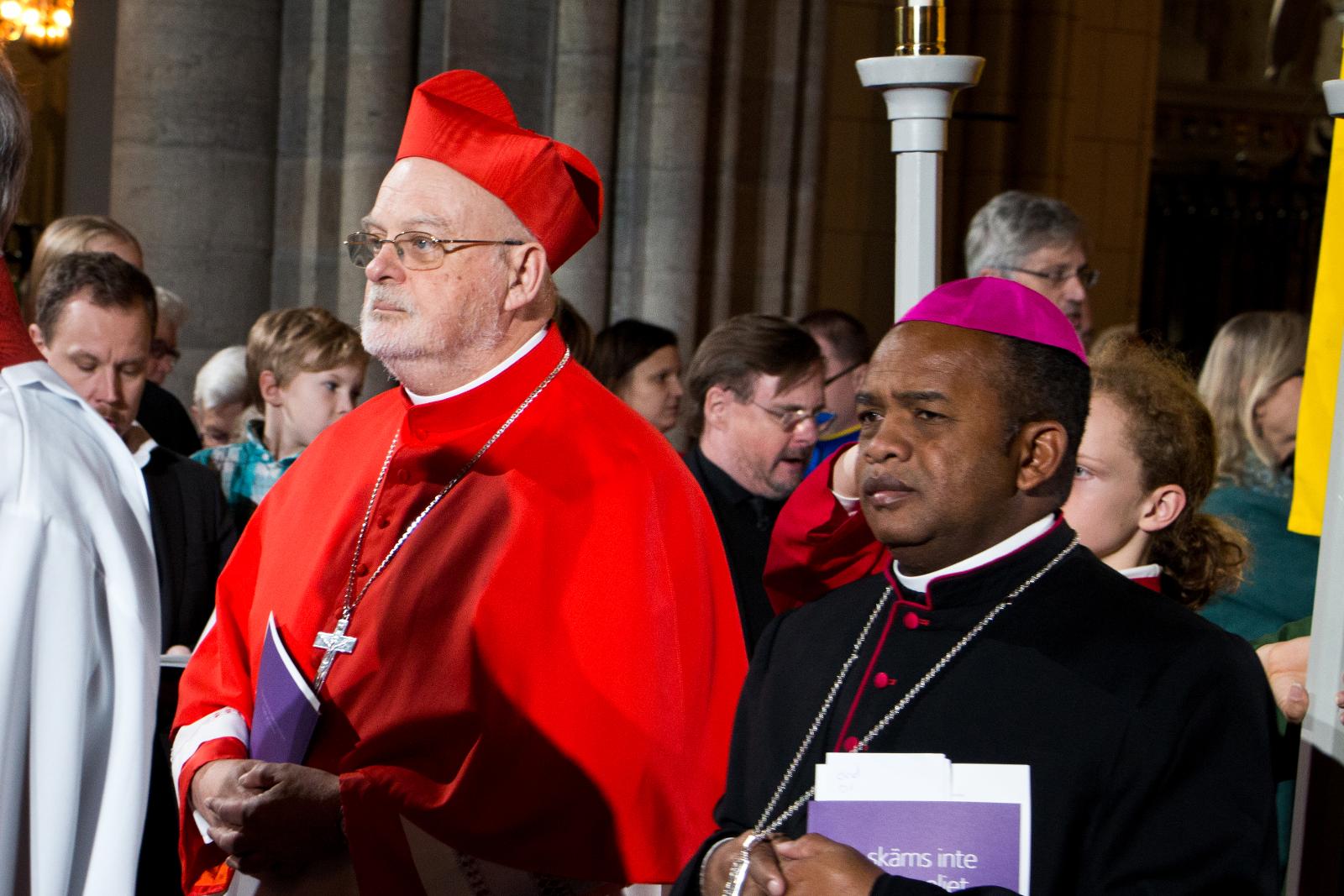 Katolske kardinalen glad över reformationsfirandet
